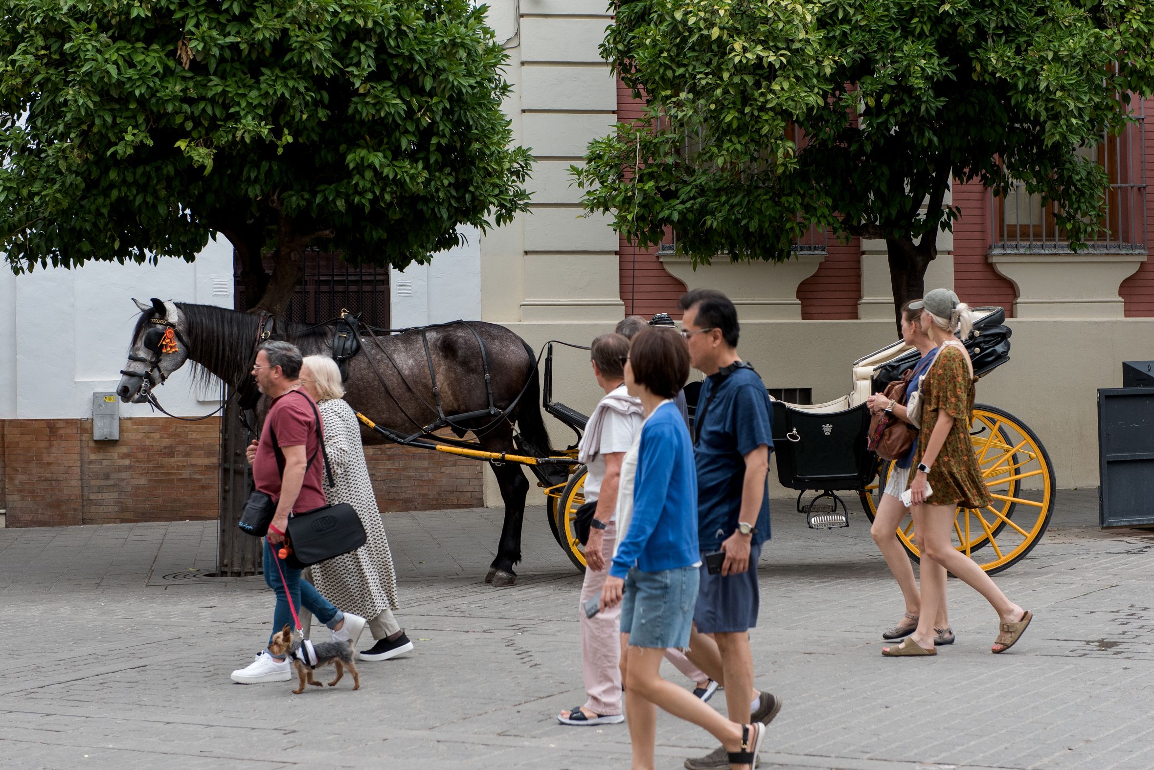 Turistas pasan por delante de un coche de caballos en Sevilla. Turistas pasan por delante de un coche de caballos en Sevilla.