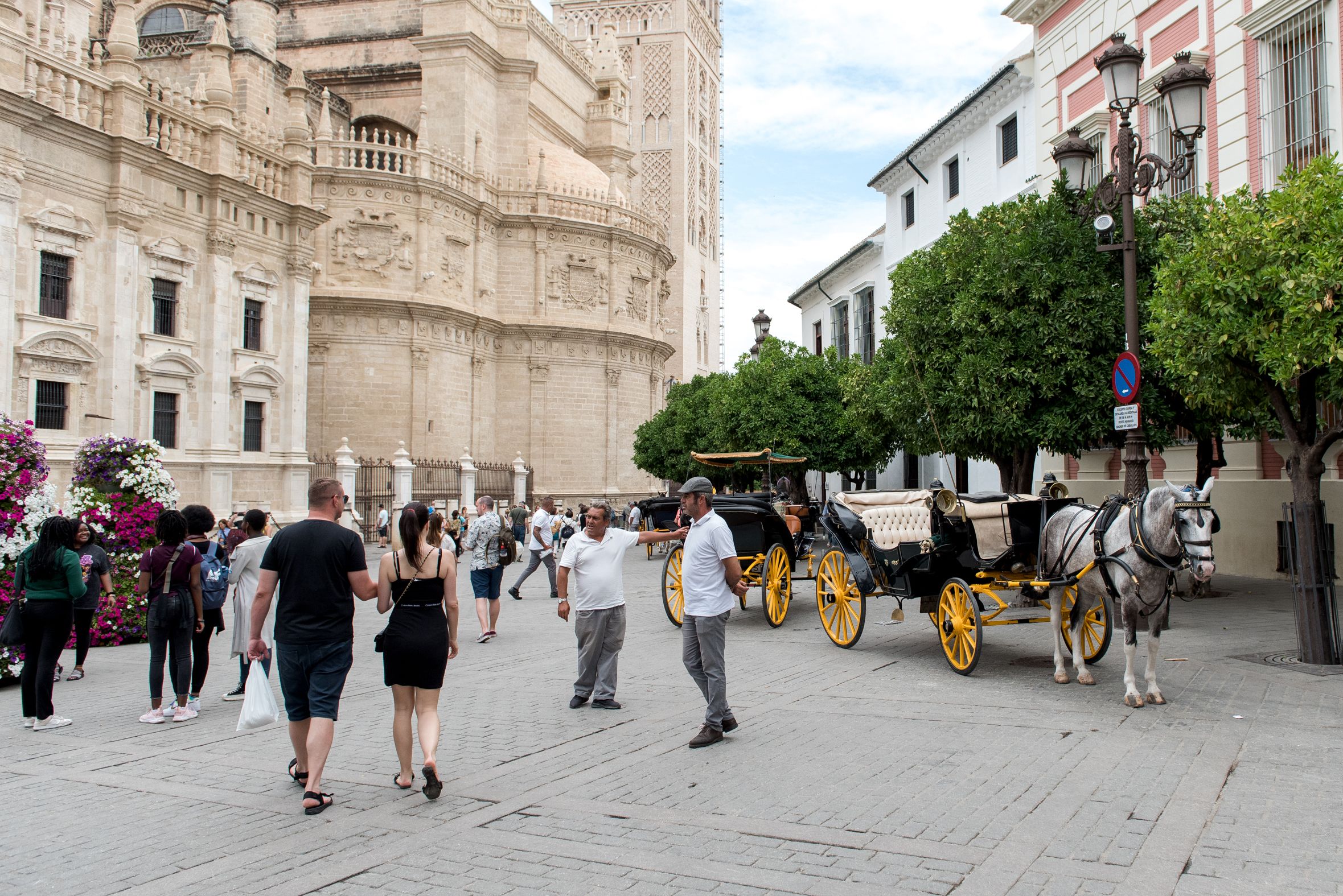 Turistas entre la Catedral y el Archivo de Indias, monumentos Patrimonio de la Humanidad.