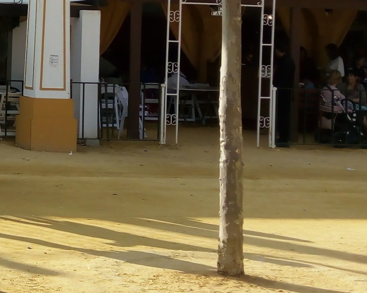 Albero en las calles de la Feria del Caballo de Jerez.