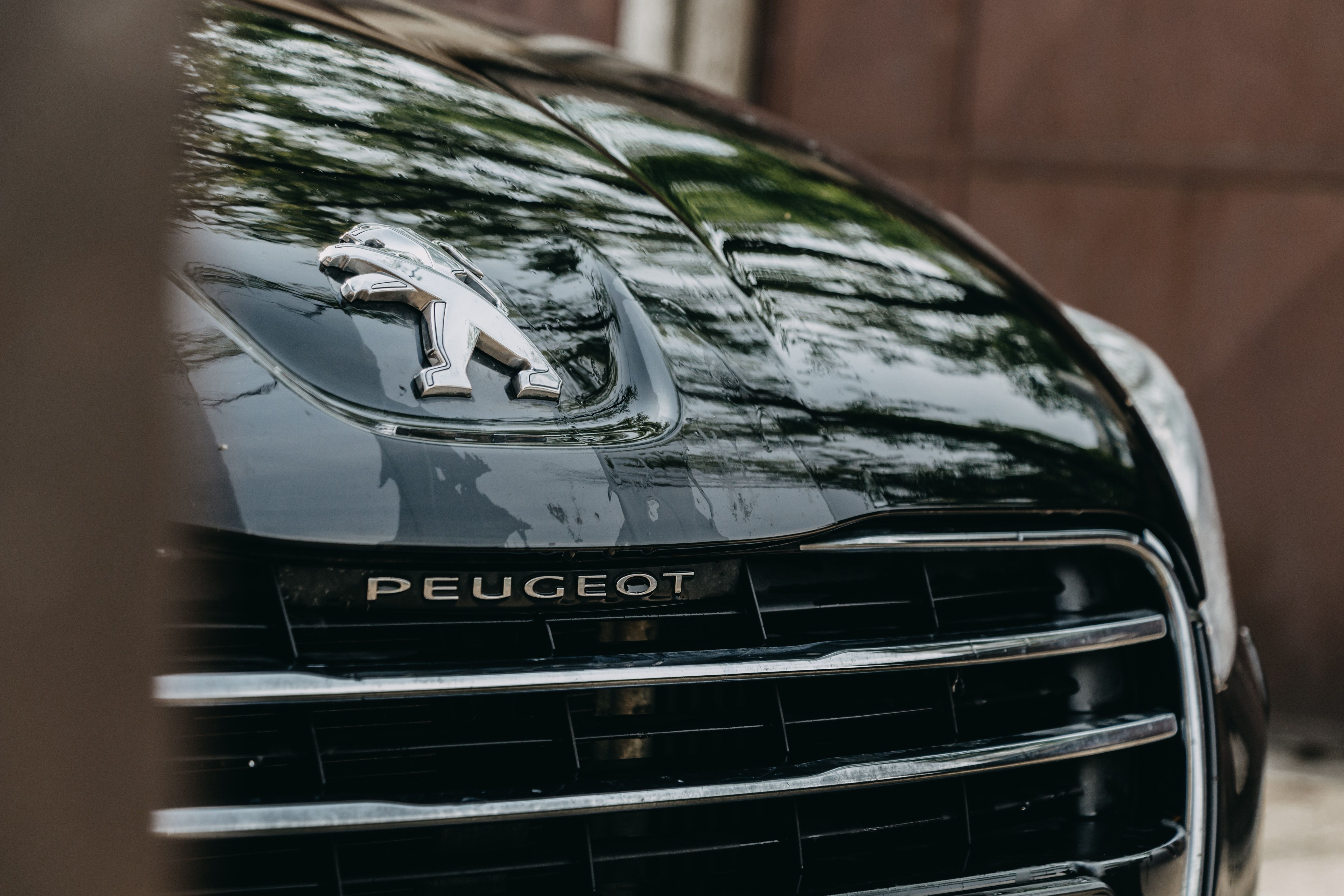 Peugeot en una foto de archivo. PEXEL