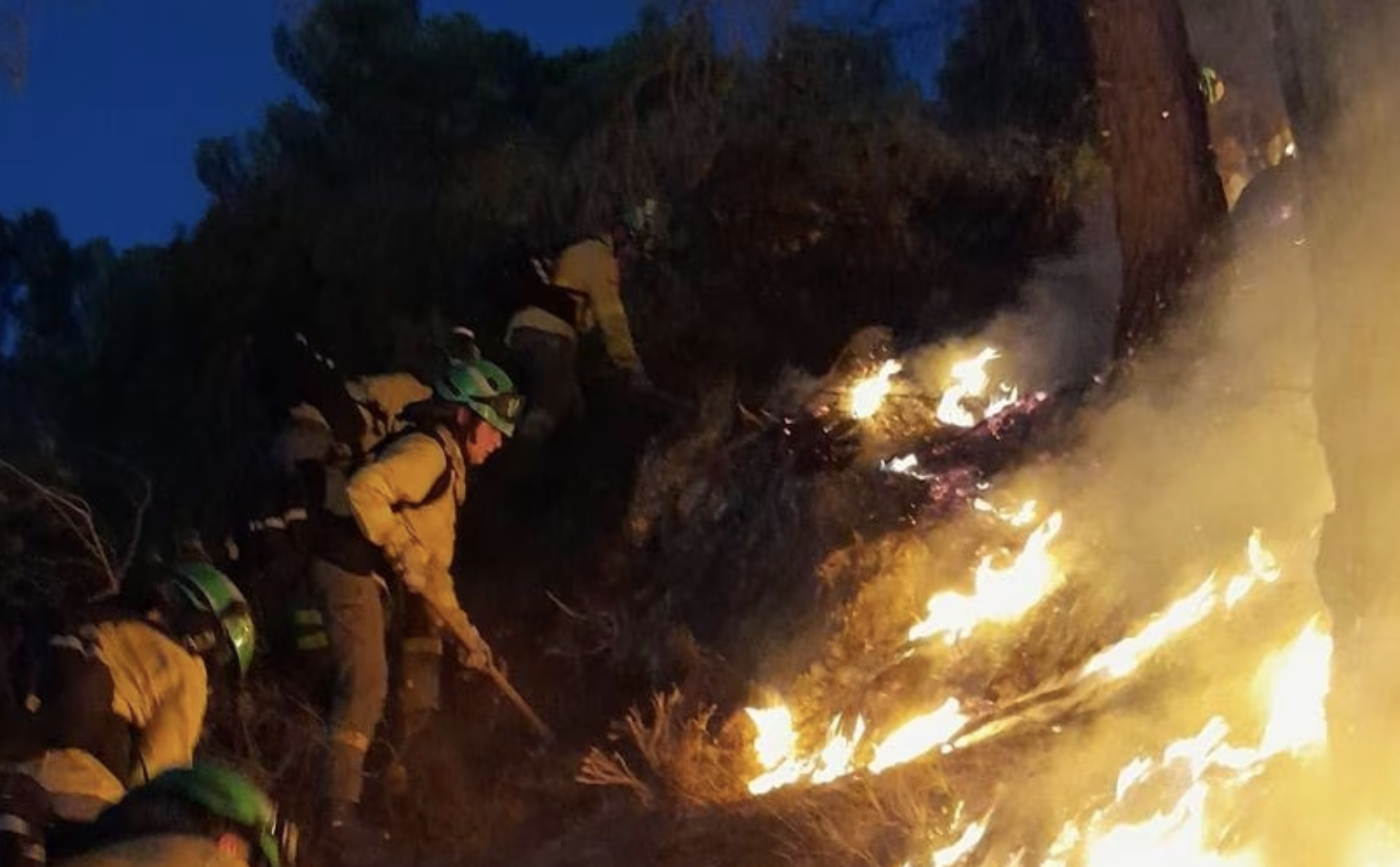 Bomberos del Infoca luchan contra las llamas en Los Guájares, en octubre del año pasado.