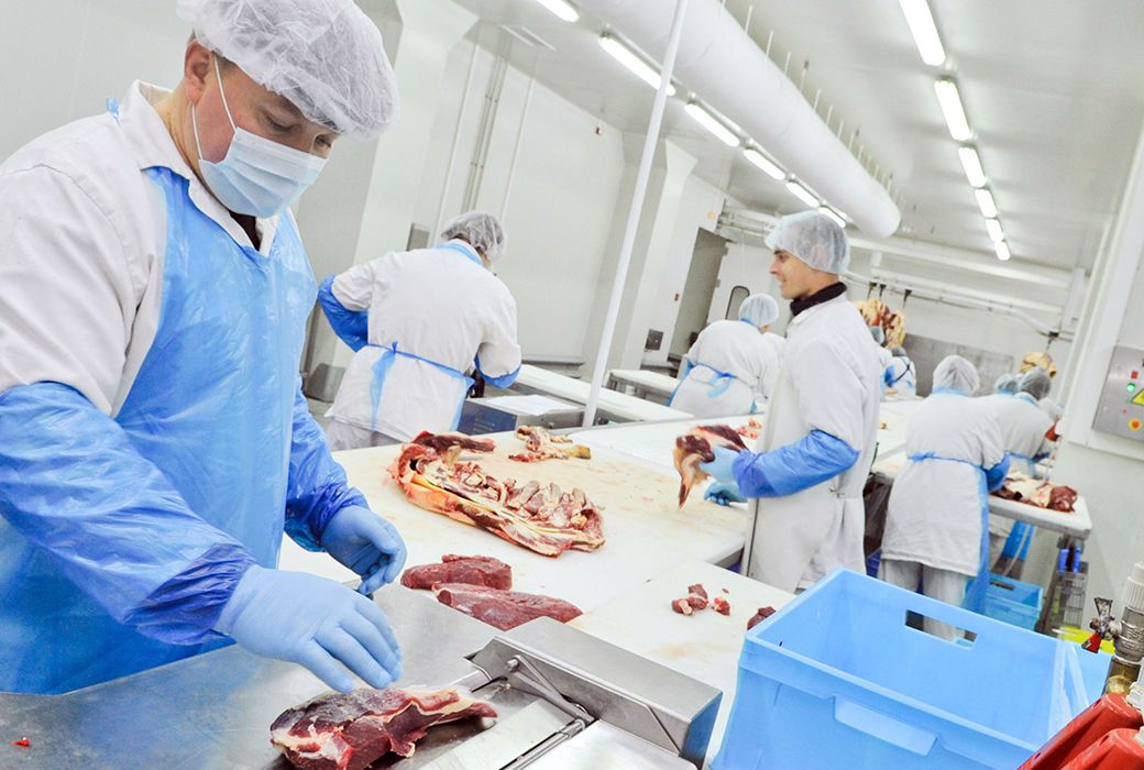 Proceso de elaboracion de productos derivados del cerdo. FOTO: ANICE