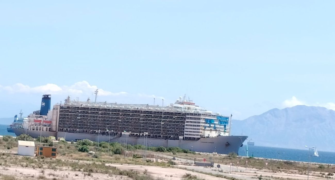 El barco en el que viajan más de 16.000 vacas en pésimas condiciones.