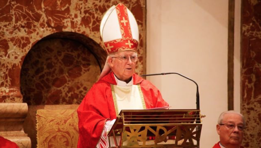 El cardenal Cañizares. FOTO: ELDIARIO.ES