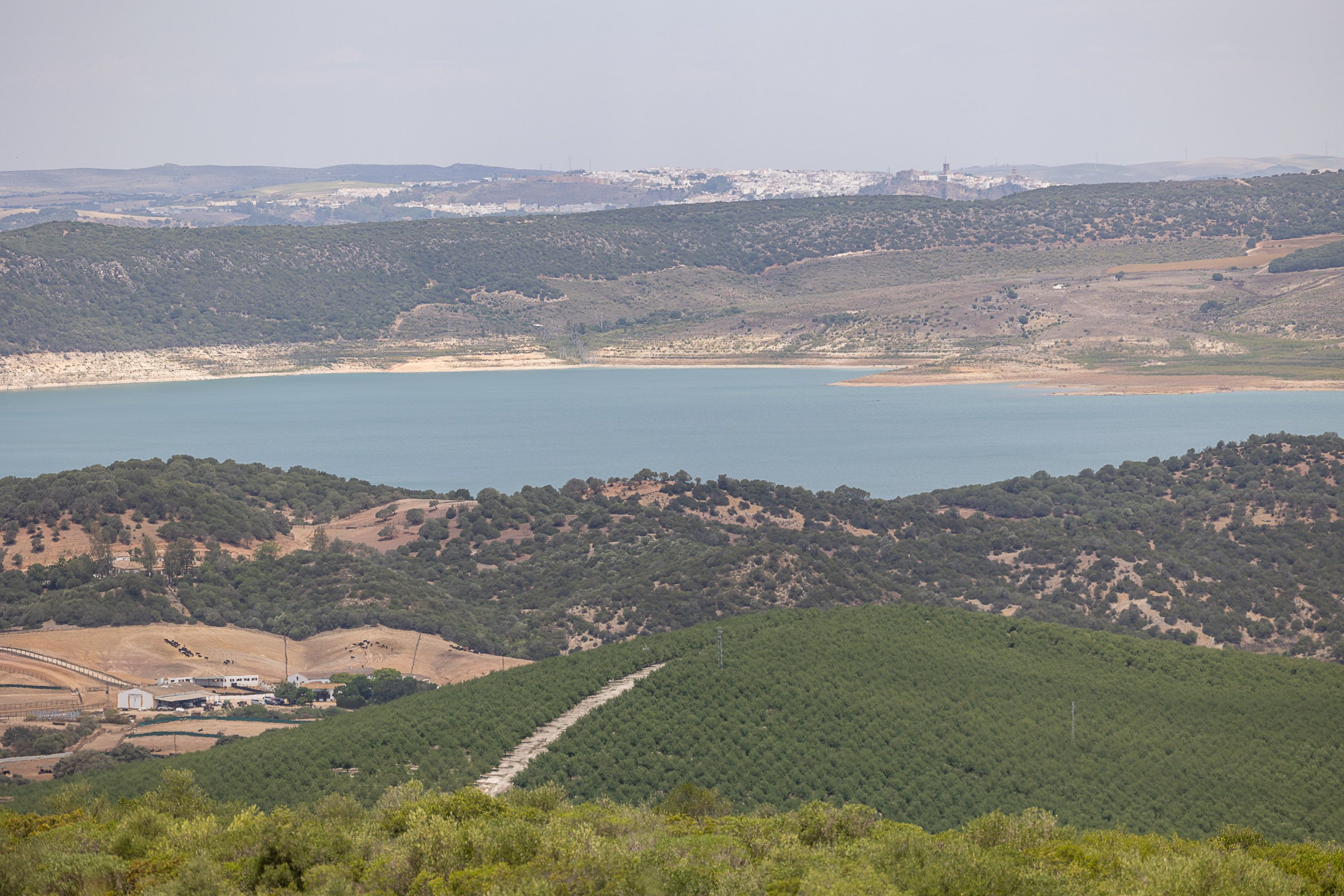 Un embalse en San José del Valle, al menor nivel de su historia.