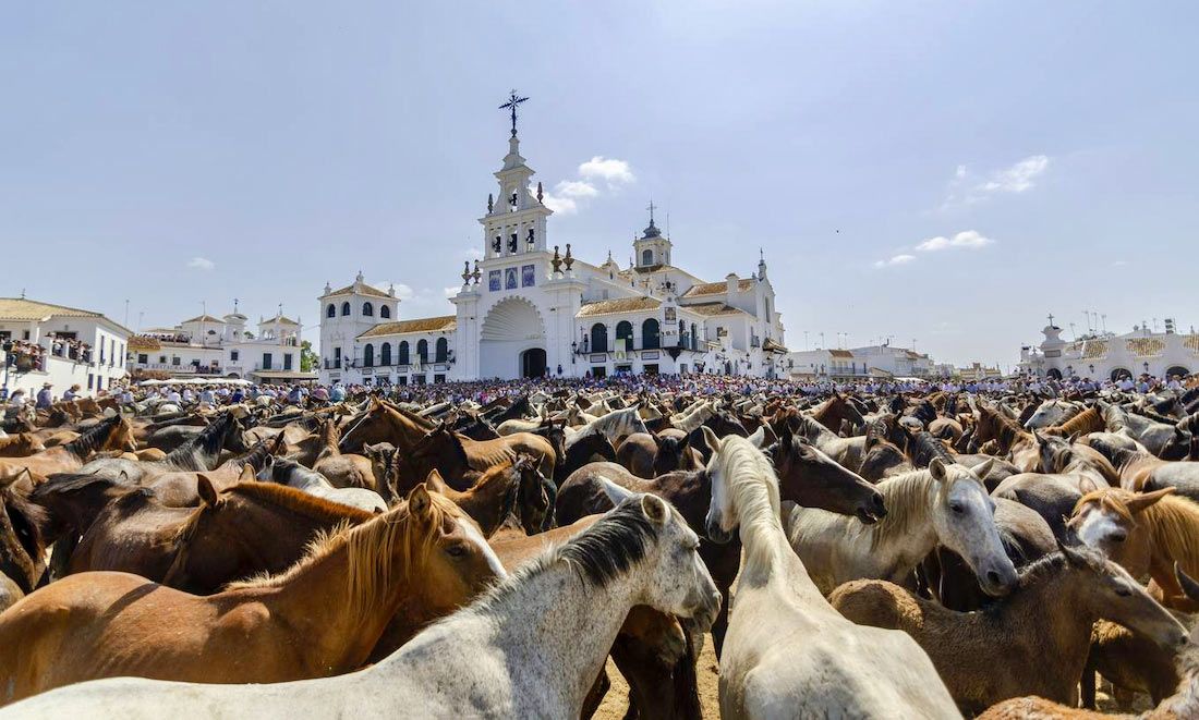 Centenares de yeguas y potros ante la explanada de la emita en El Rocío. 