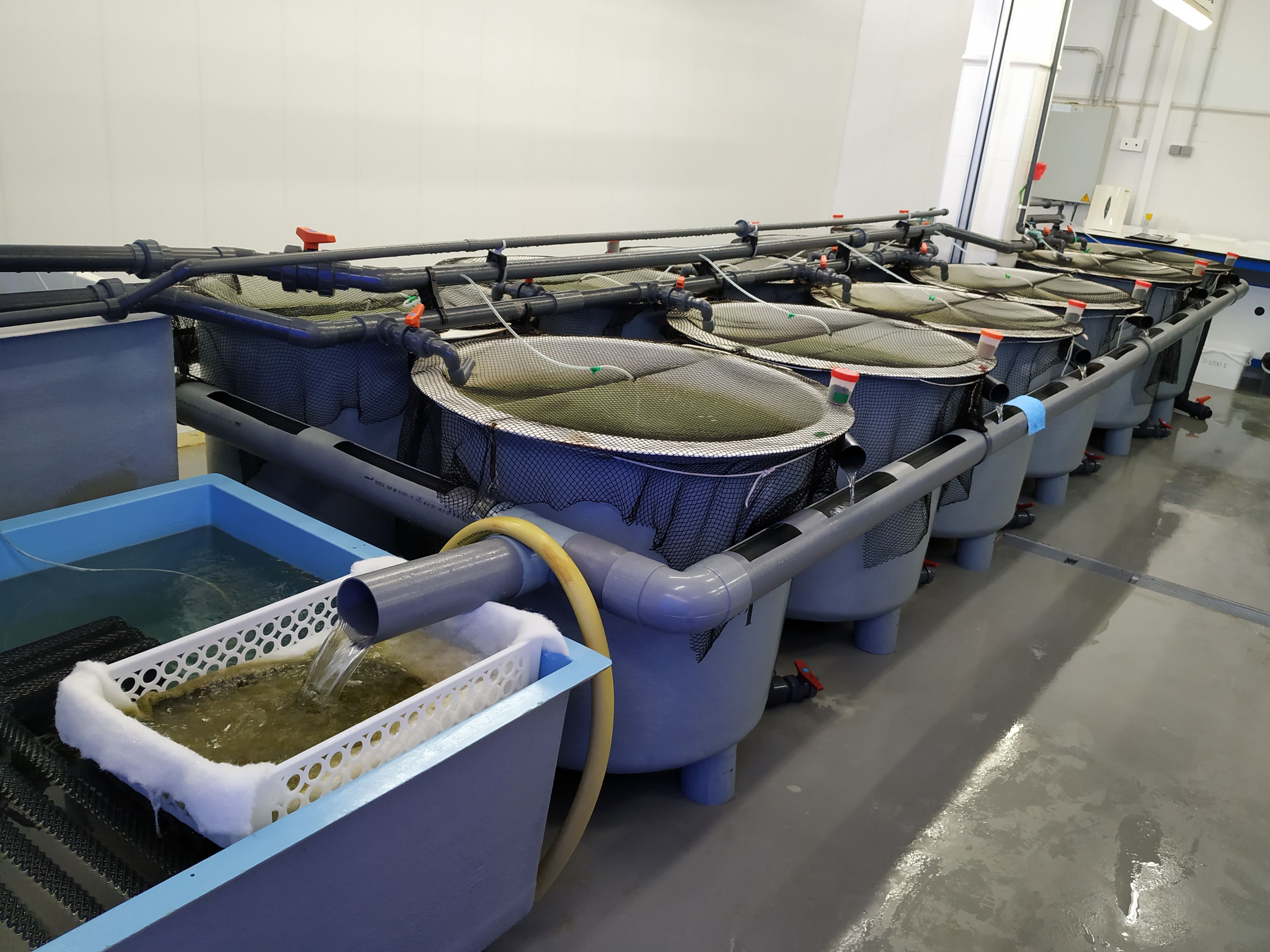 Diferentes muestras del proceso de investigación de la UCA.