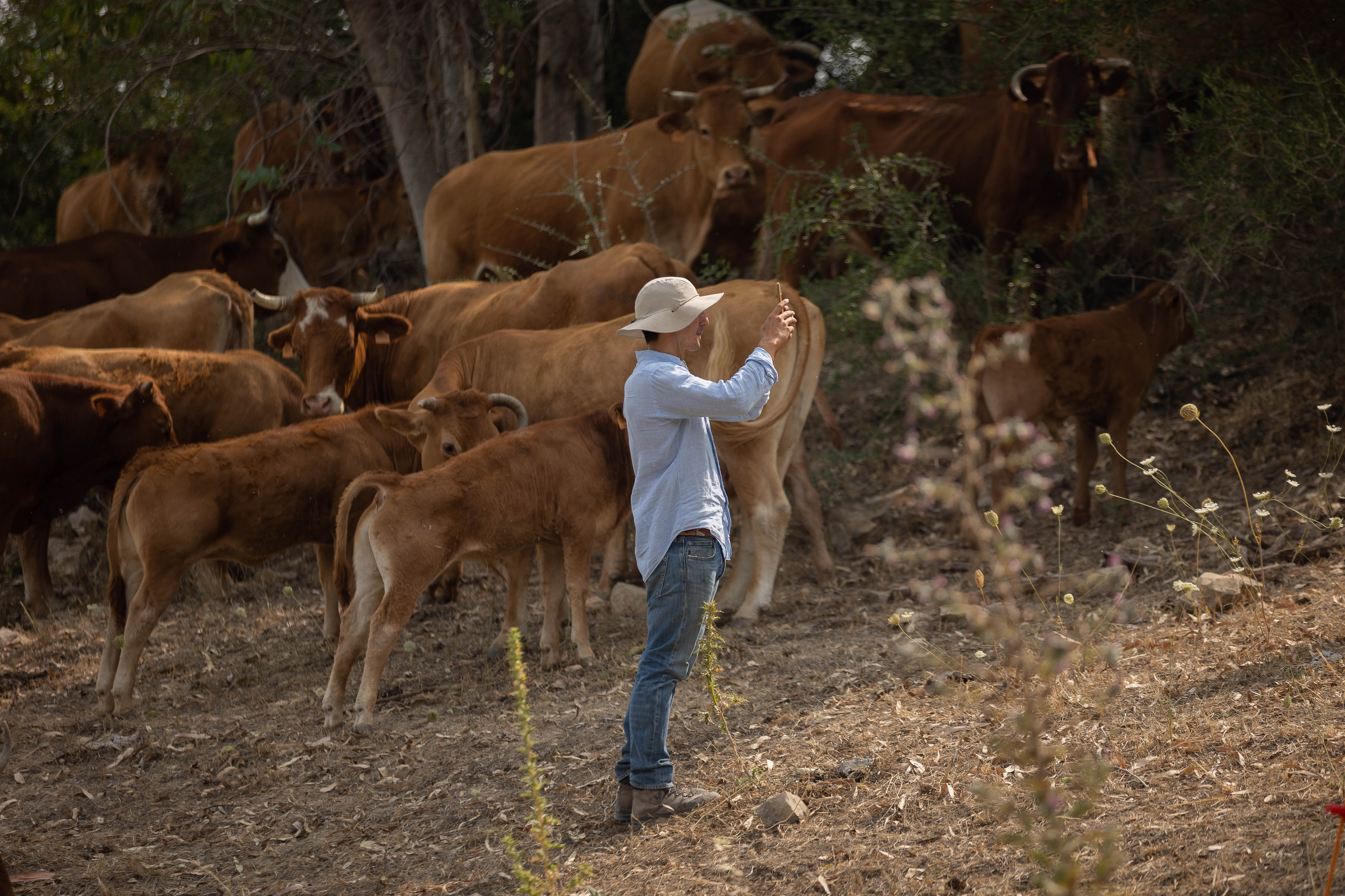 Un ganadero, en una imagen de archivo. 