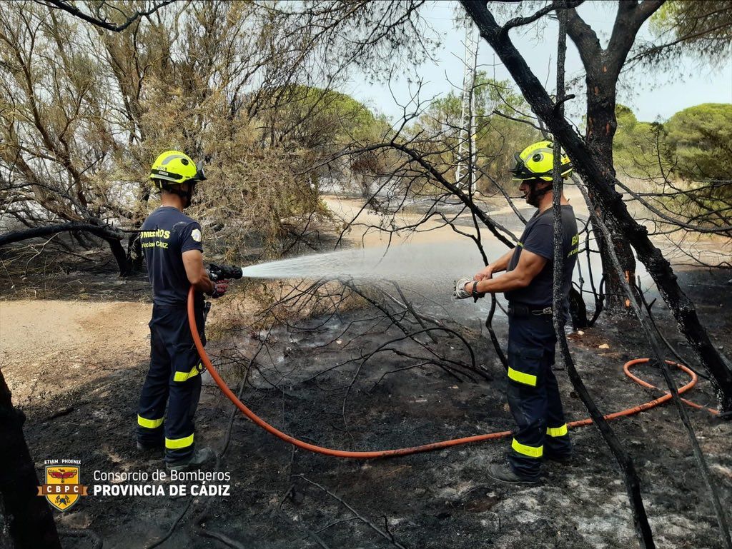 Dos bomberos trabajan en las labores de extinción del fuego.