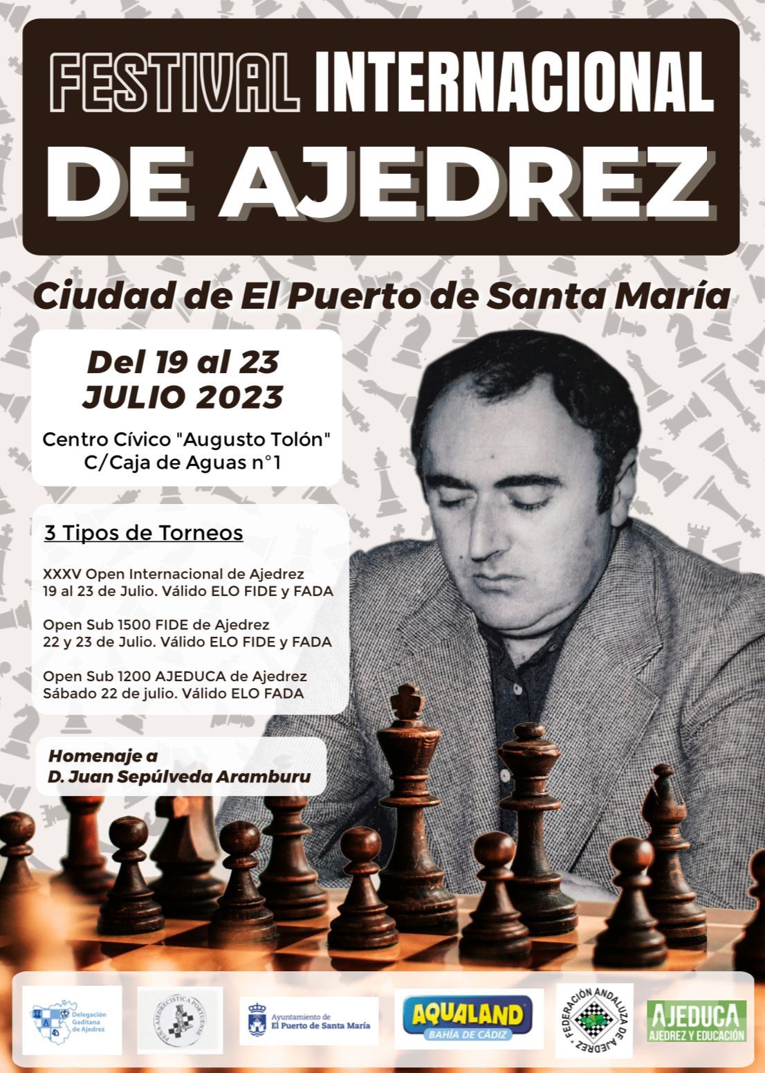 Cartel del festival internacional de ajedrez. 