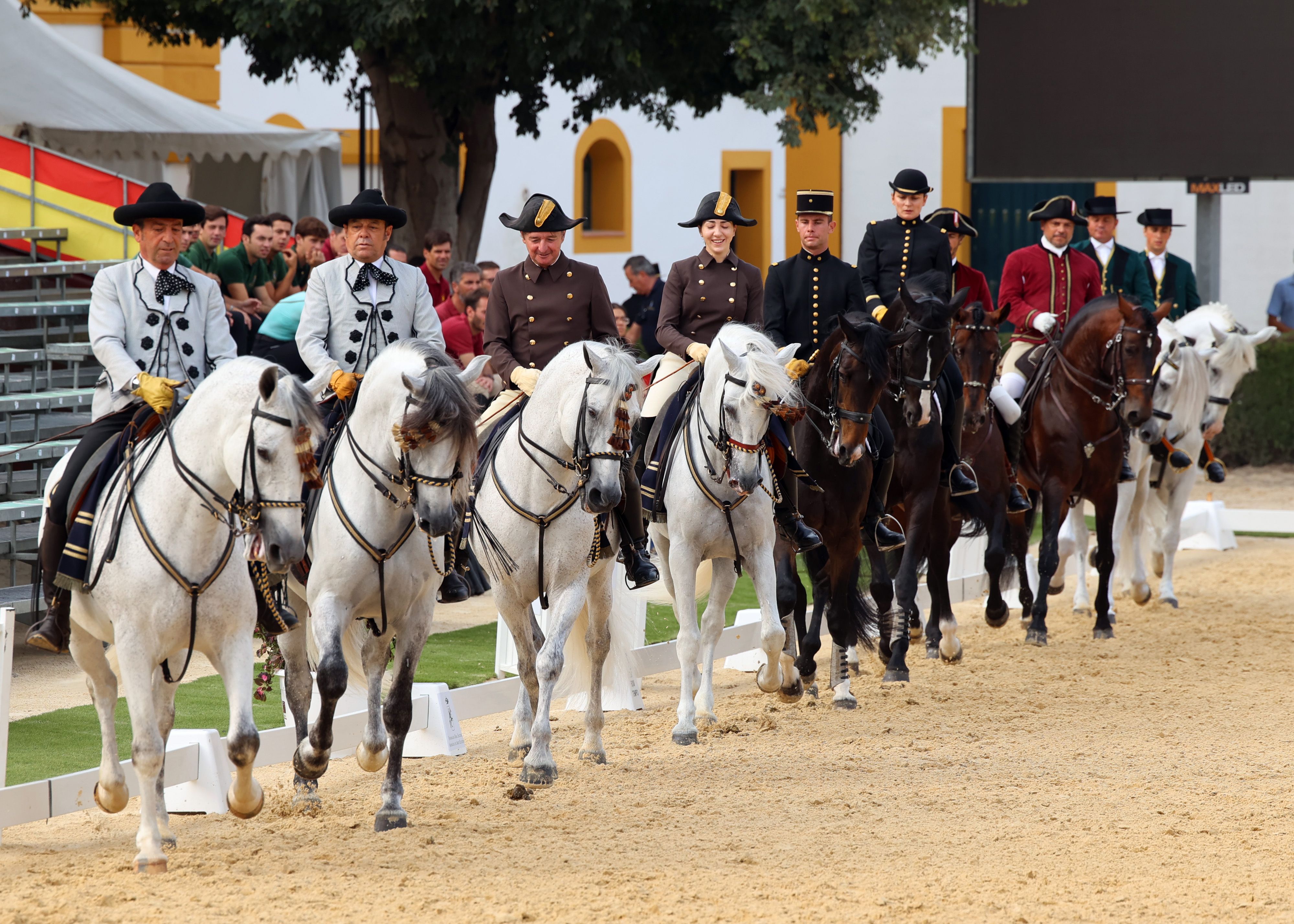 Un  momento del ensayo con los jinetes de las cinco escuelas en el picadero externo.