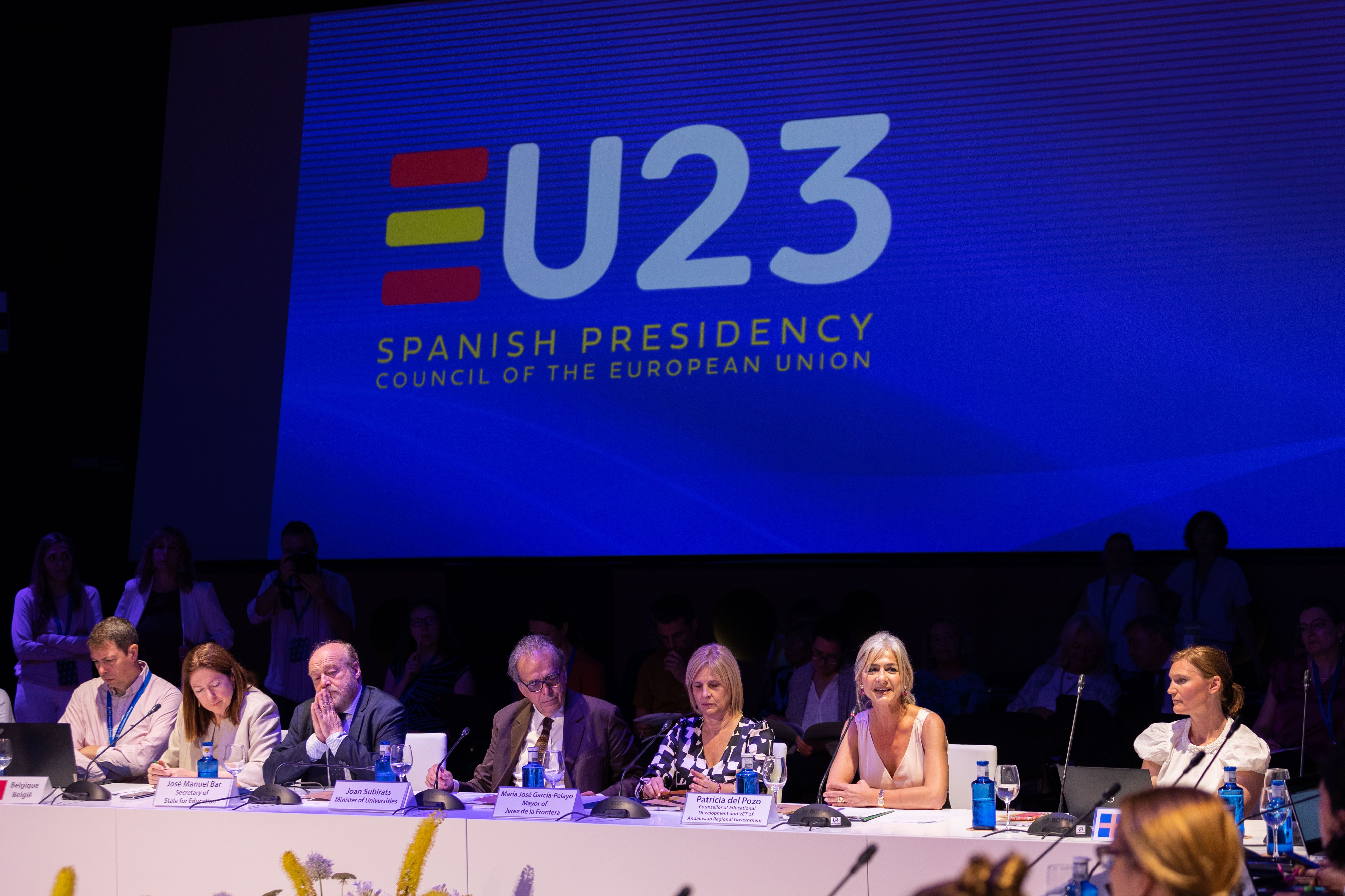 GRUPO DE ALTO NIVEL SOBRE EDUCACION Y FORMACION PATRICIA DEL POZO PELAYO 070