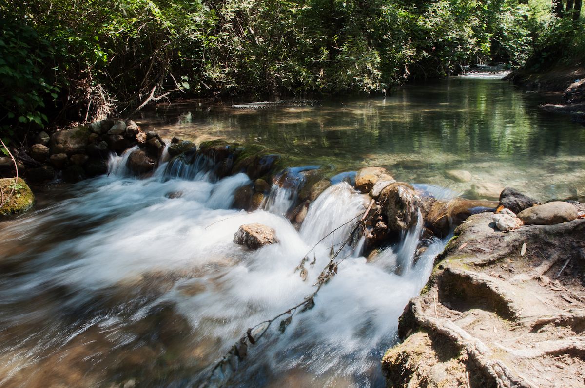 RIO MAJACEITE RUTA EL BOSQUE BENAMAHOMA 1 2