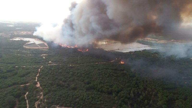 Imágenes del incendio en Moguer de hace seis años.