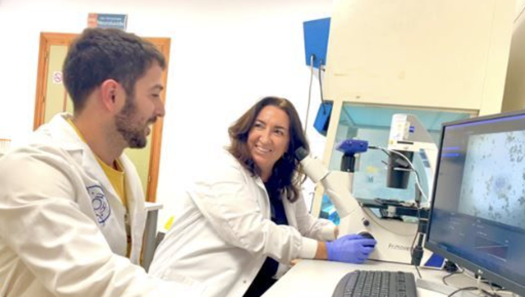 La catedrática Carmen Castro, del a Universidad de Cádiz, ha coordinado la investigación.