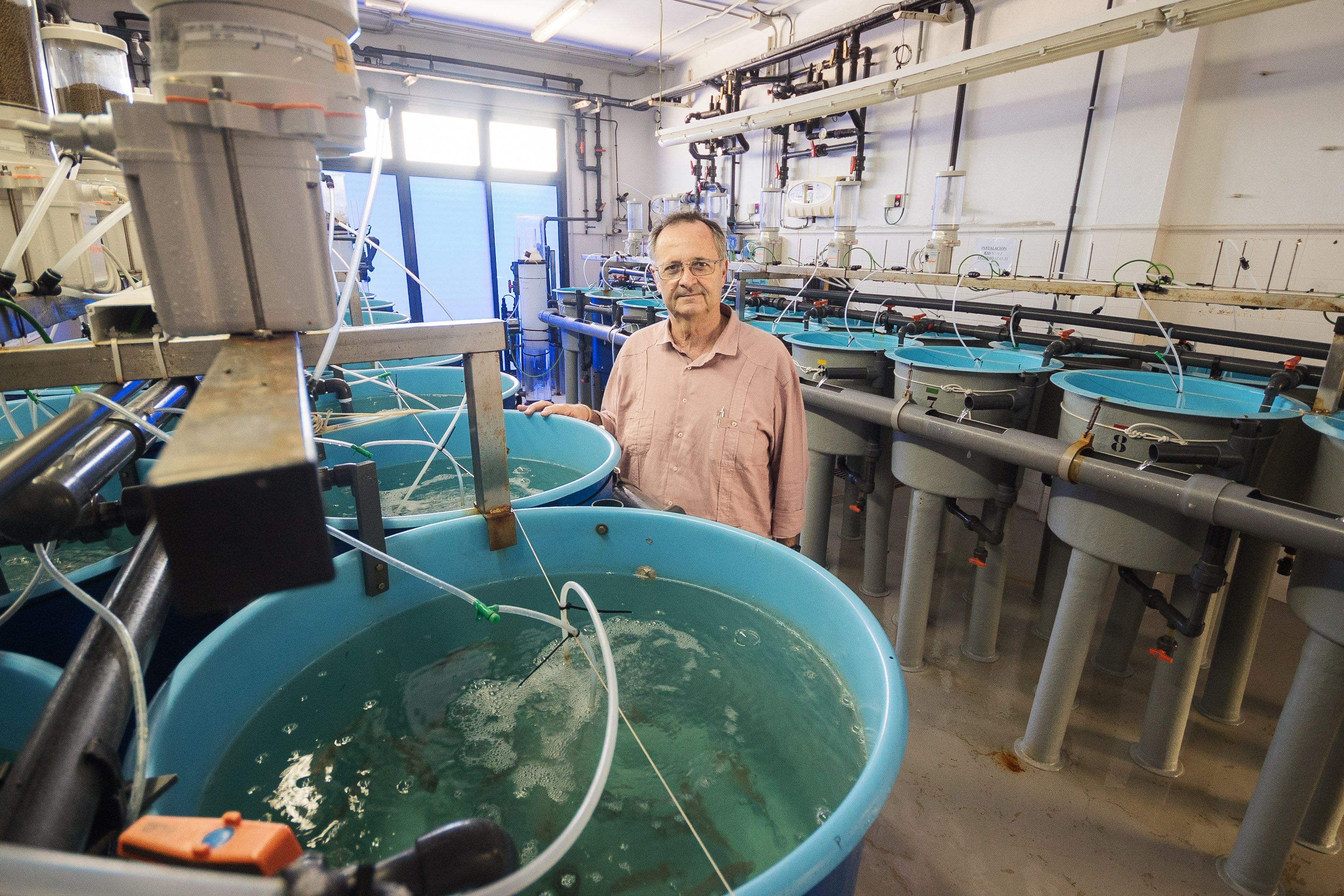 El isleño entre los tanques de las salas. 