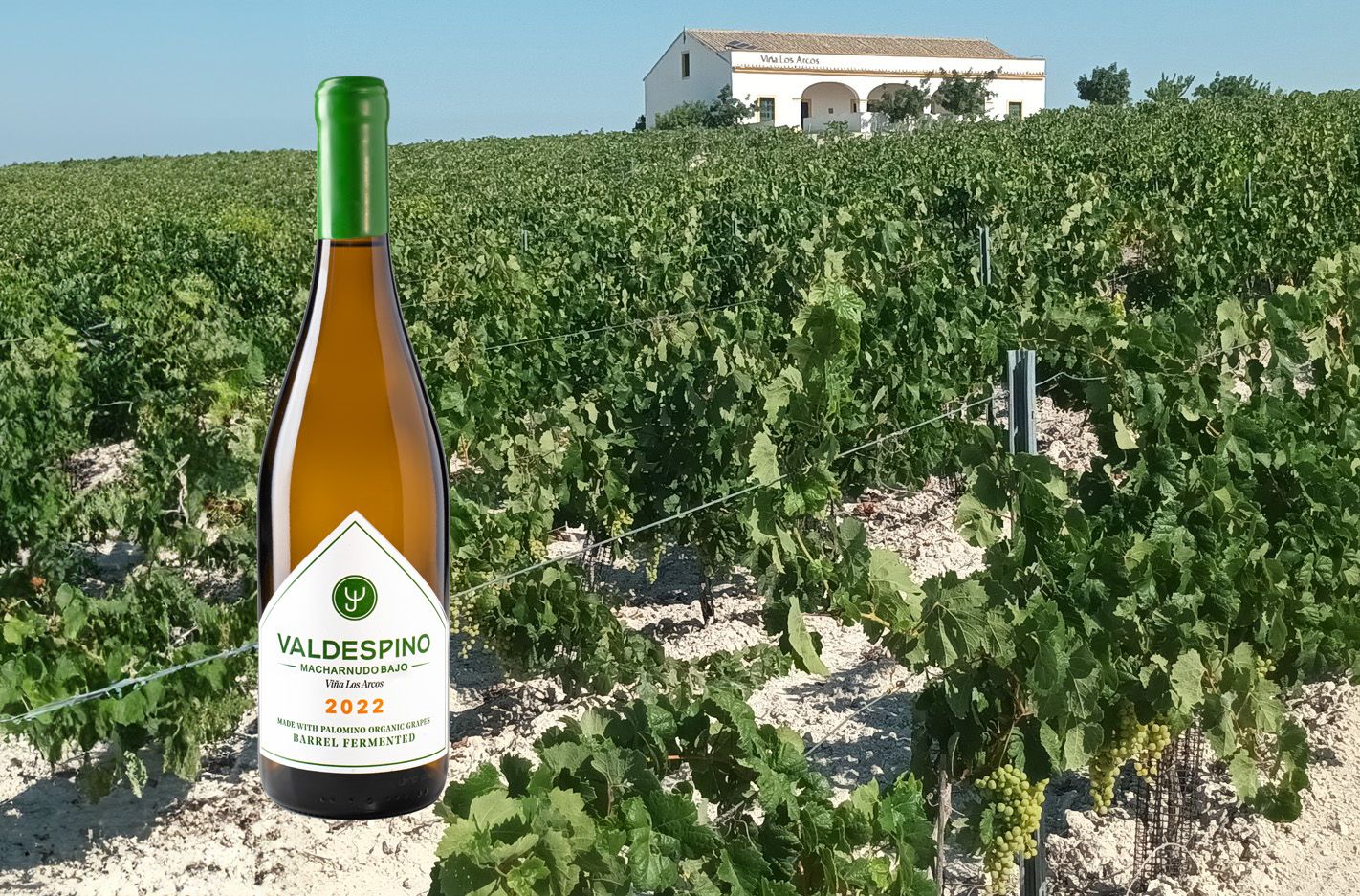 La viña Los Arcos y la botella del nuevo vino lanzado por Valdespino.