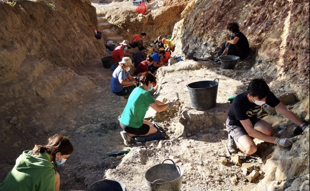 La XX Campaña de Excavaciones de Dinosaurios en la Sierra de la Demanda, en Burgos, comienzan este viernes.