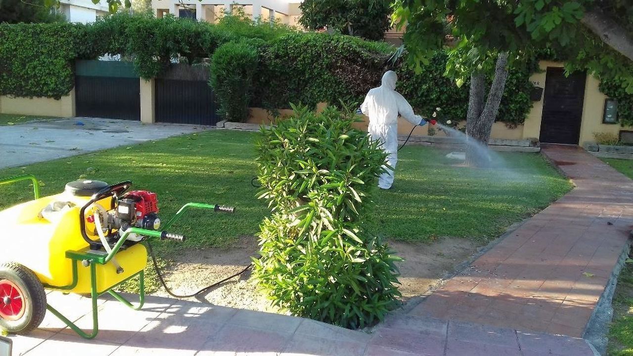 Plan de vigilancia y control de mosquitos en Chiclana. Plan de vigilancia y control de mosquitos en Chiclana.