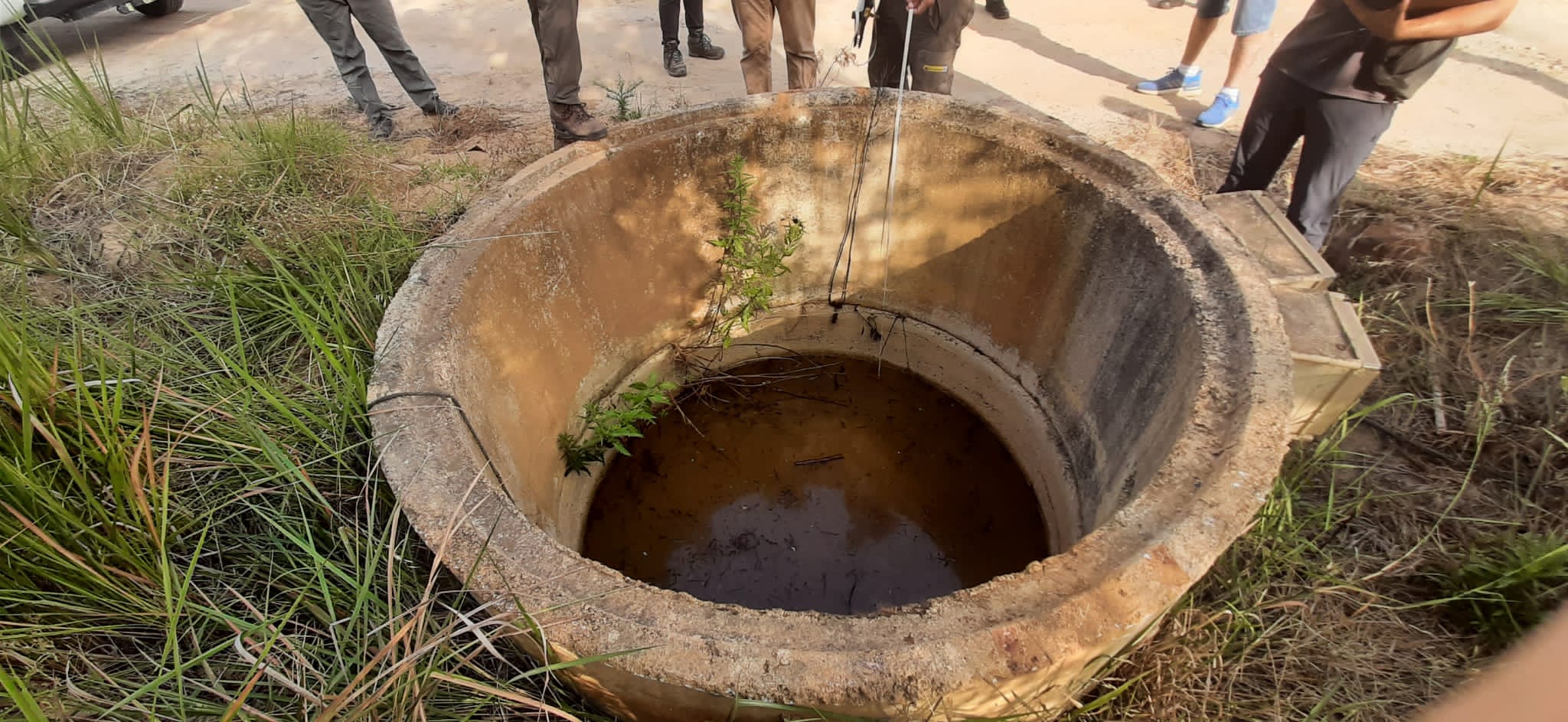 Uno de los pozos precintados en el entorno de Doñana.