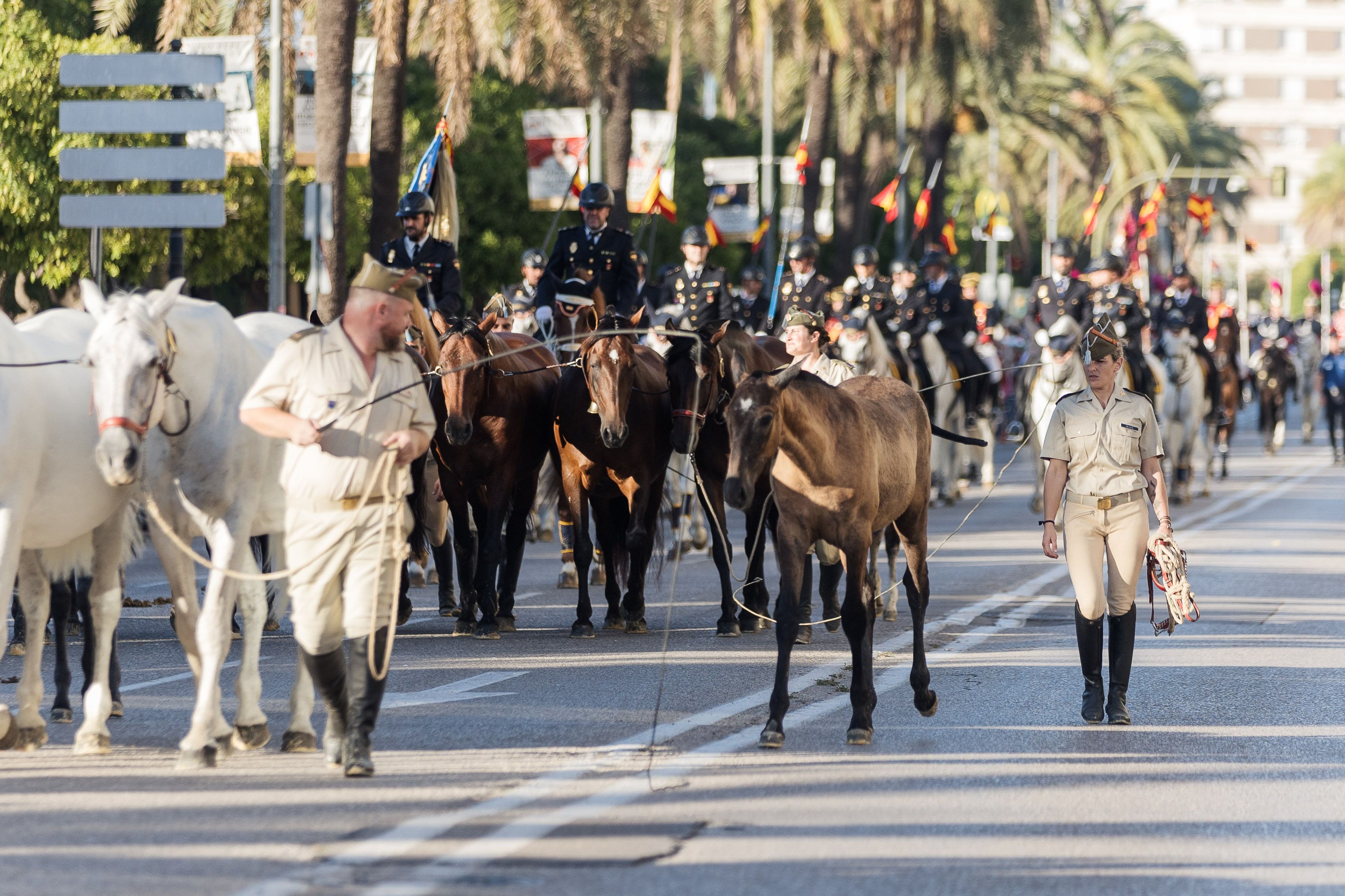 Parada ecuestre con ejemplares de la Yeguada Militar, en una imagen de archivo.