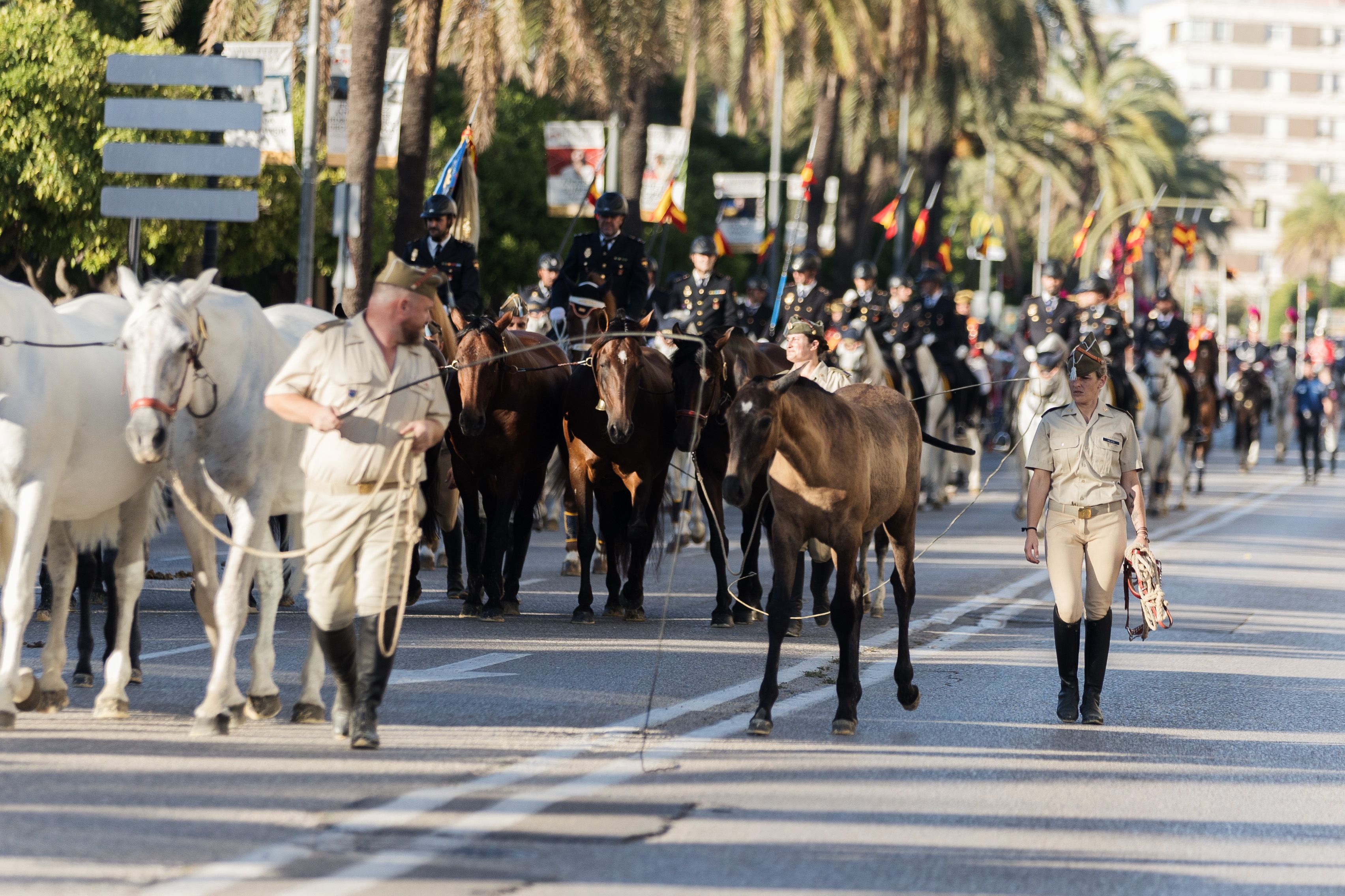 Desfile ecuestre en Jerez