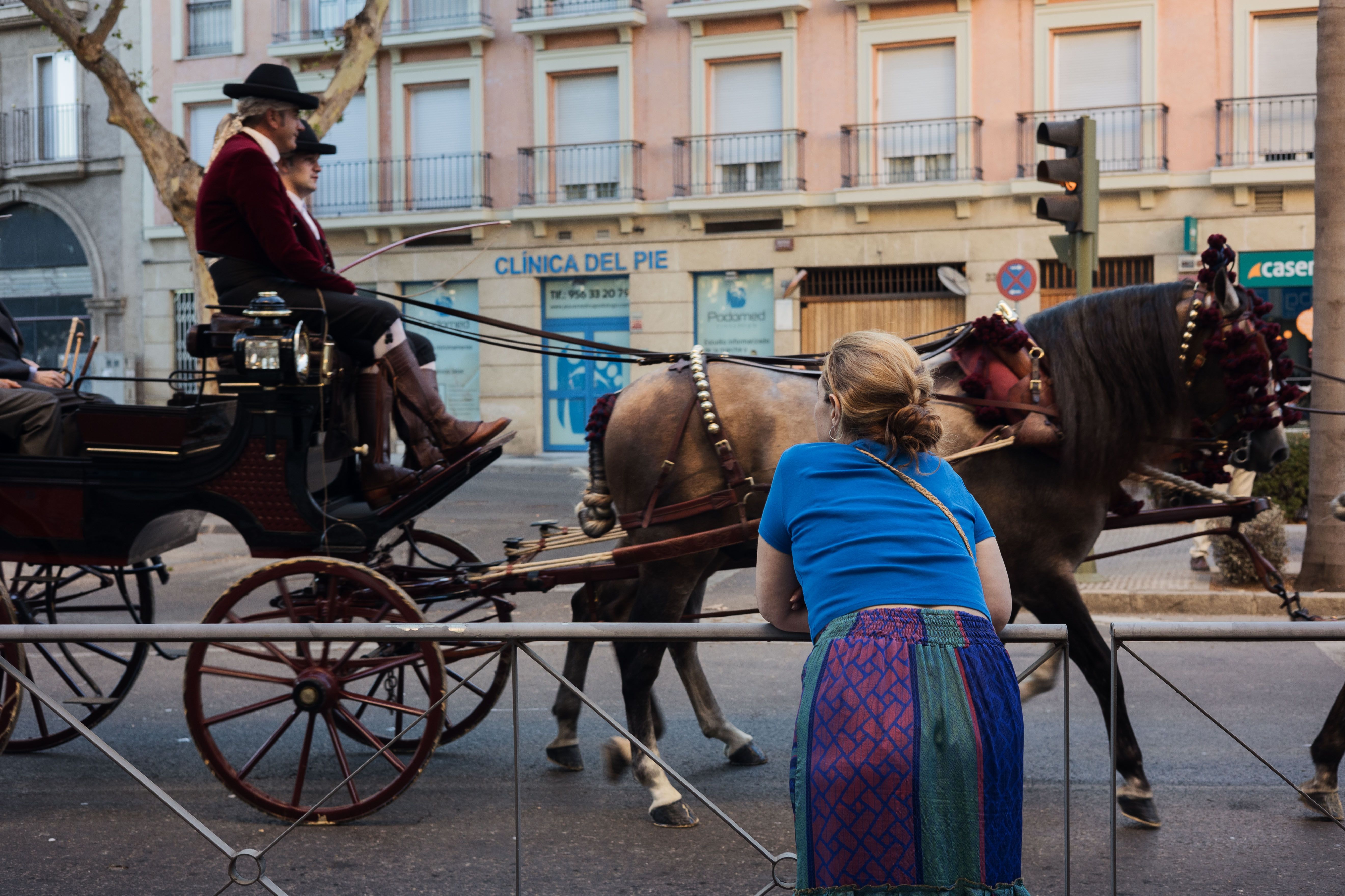 Desfile ecuestre en Jerez