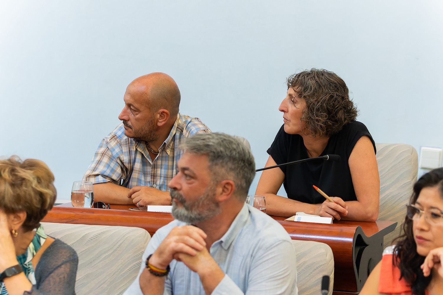 PLENO DE CONSTITUCION JEREZ 14