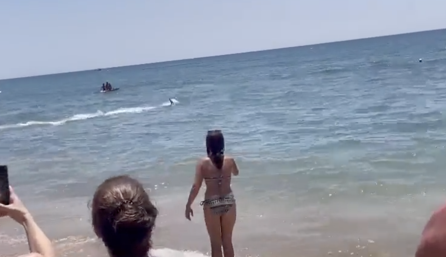 Unos bañistas graban al pez de grandes dimensiones en la orilla de la playa de la Antilla, en Lepe. TWITTER