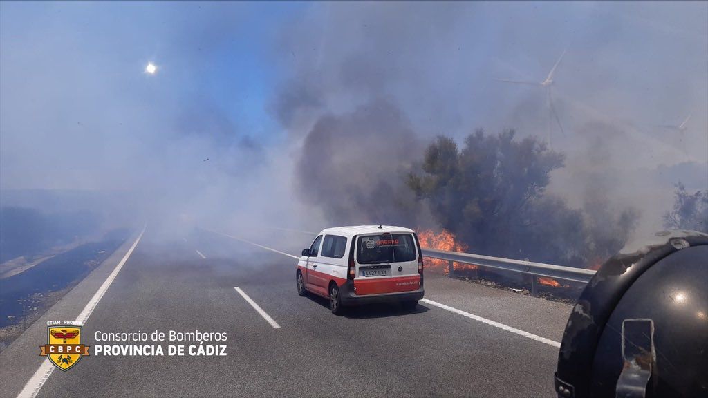 Llamas en la mediana de la A-381.
