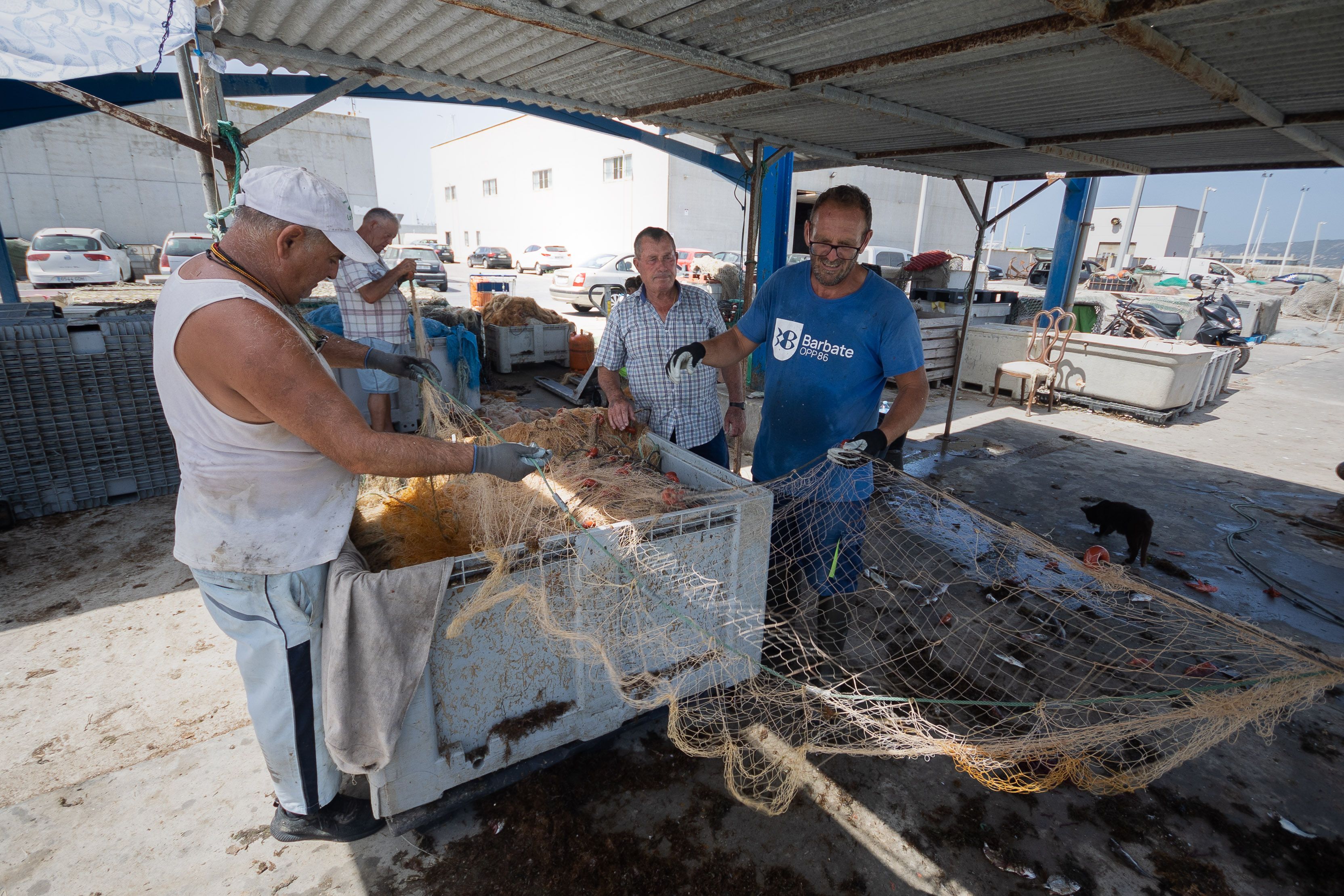 Las artes de Agustín están llenas de algas. 