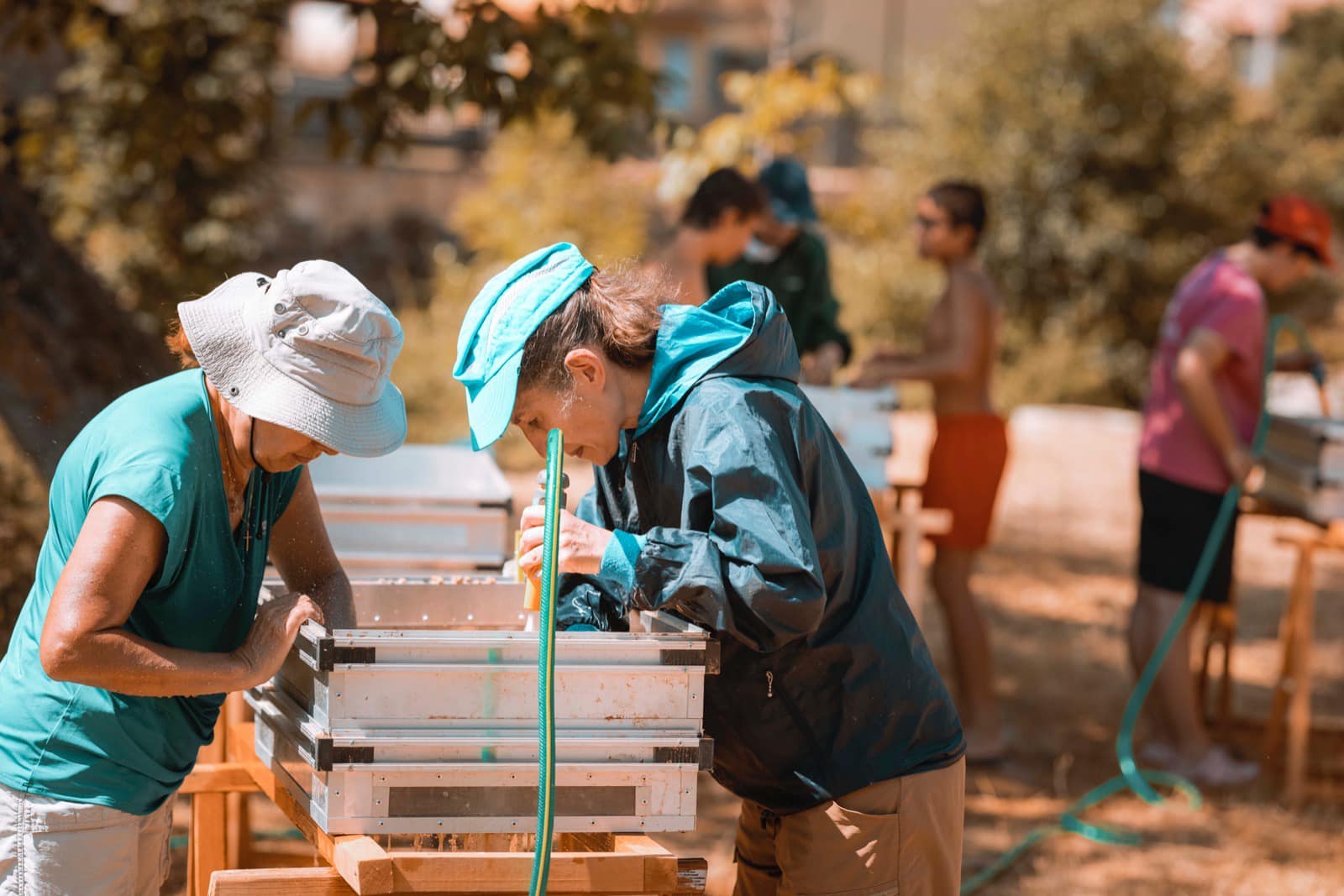 Voluntarios trabajando en Atapuerca.   FUNDACIÓN ATAPUERCA