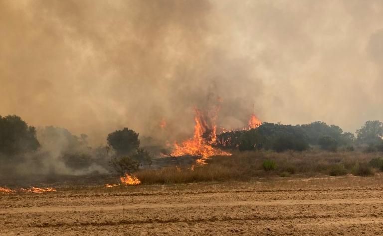 Llamas del incendio declarado en El Chaparrito.