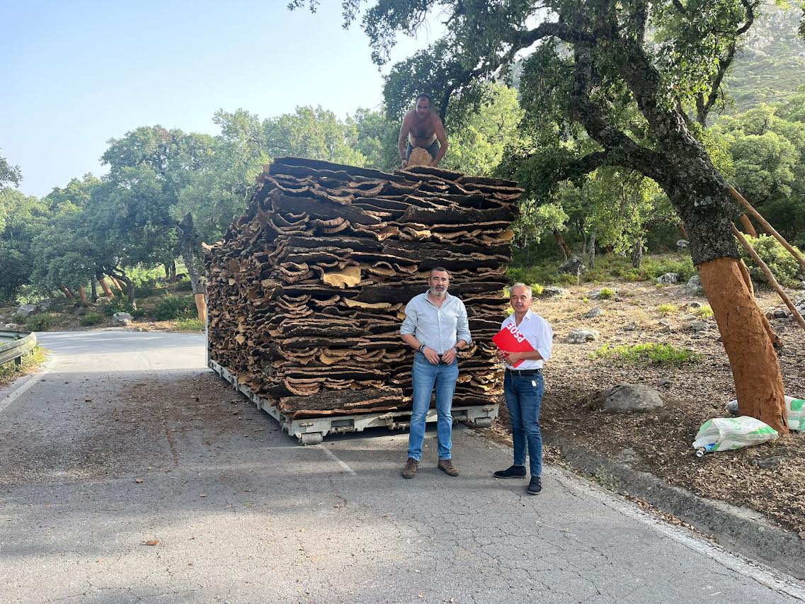 Alfonso Moscoso, candidato del PSOE al Senado por Cádiz en una visita a Los Alcornocales.
