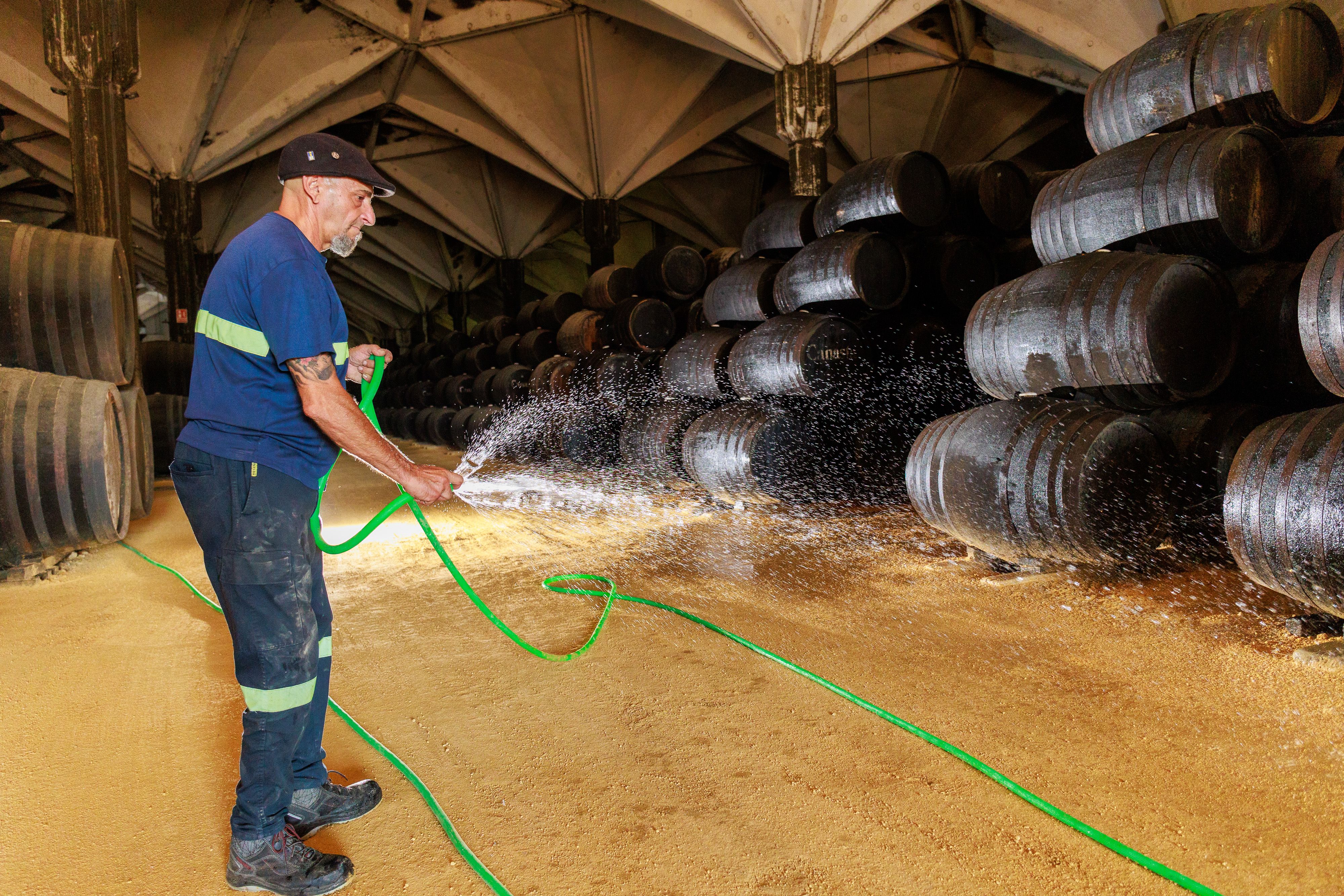 El albero también se refresca para mantener la temperatura ideal. JUAN CARLOS TORO