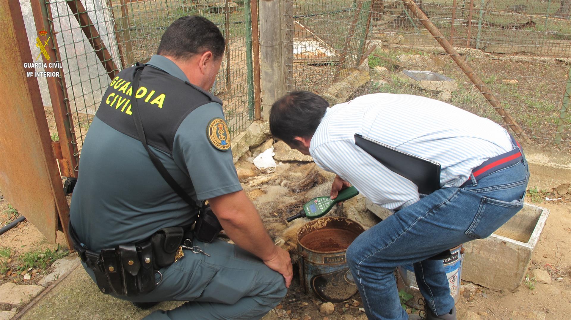 Imagen de archivo de una intervención de la Guardia Civil en una finca.