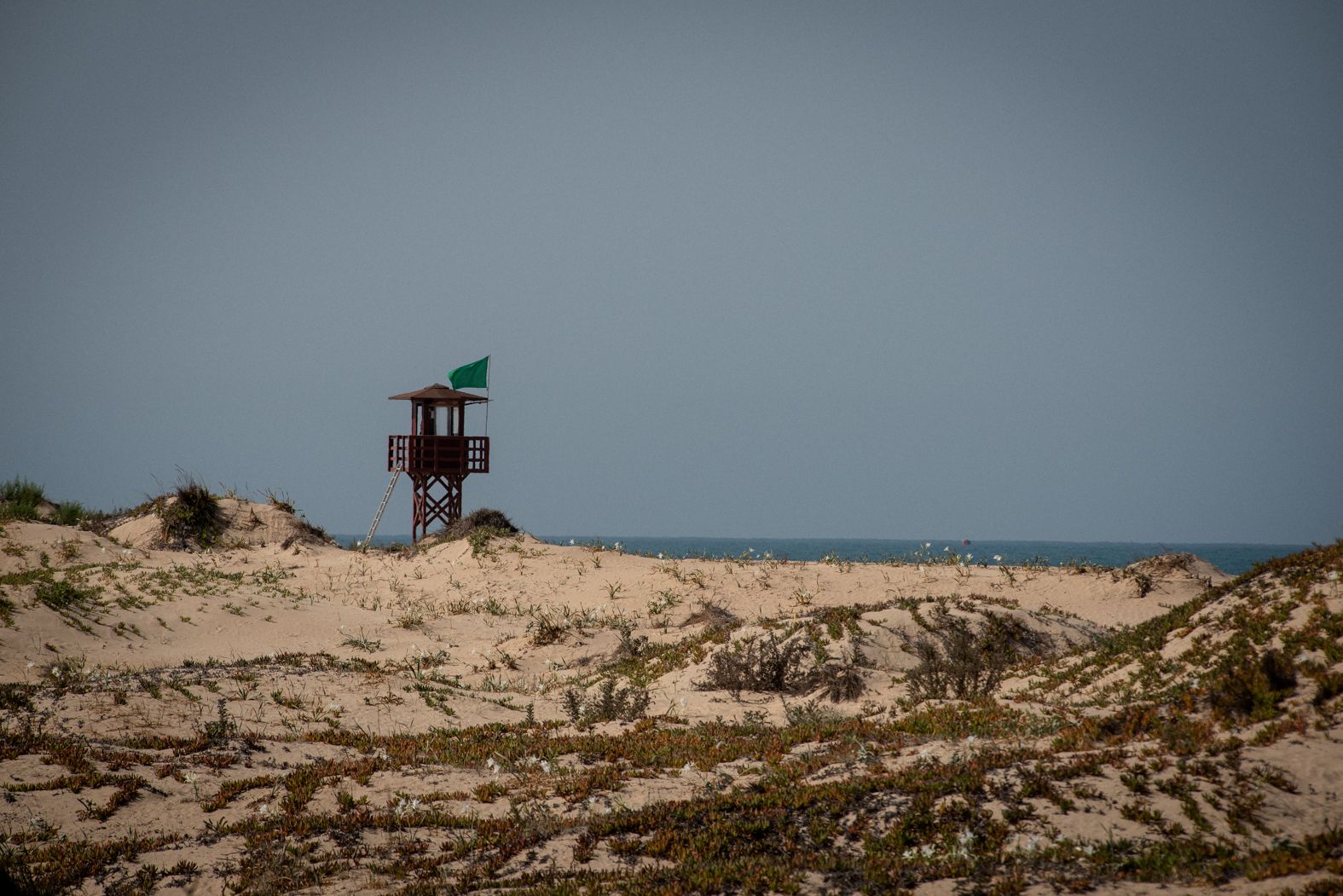Imagen desde una duna en la playa de Cortadura, en Cádiz.