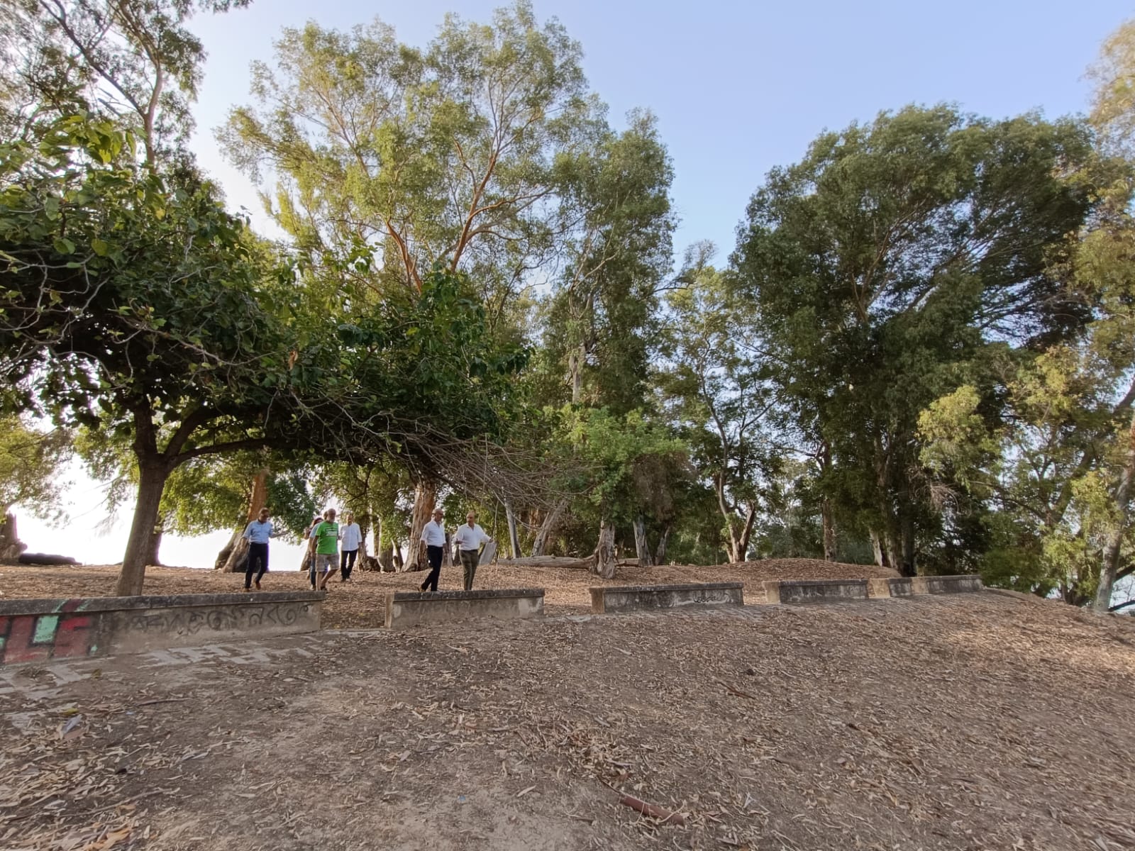 Imagen de la Dehesa de Tablada.