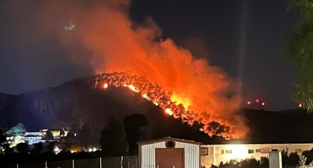 El bajo monte de Torrecera que ha salido ardiendo.