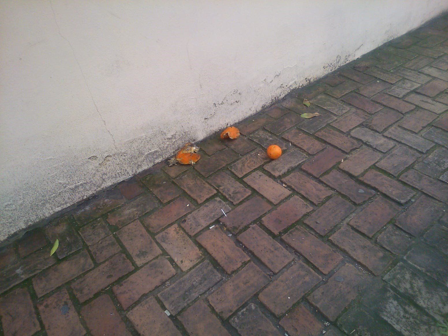Unos "niñatos" lanzan naranjas a la casa de una vecina en Prado del Rey.