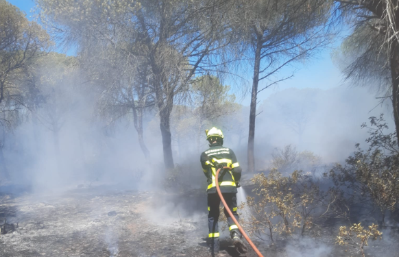 Incendio en un Pinar de Conil. CONSORCIO DE BOMBEROS DE LA PROVINCIA DE CÁDIZ