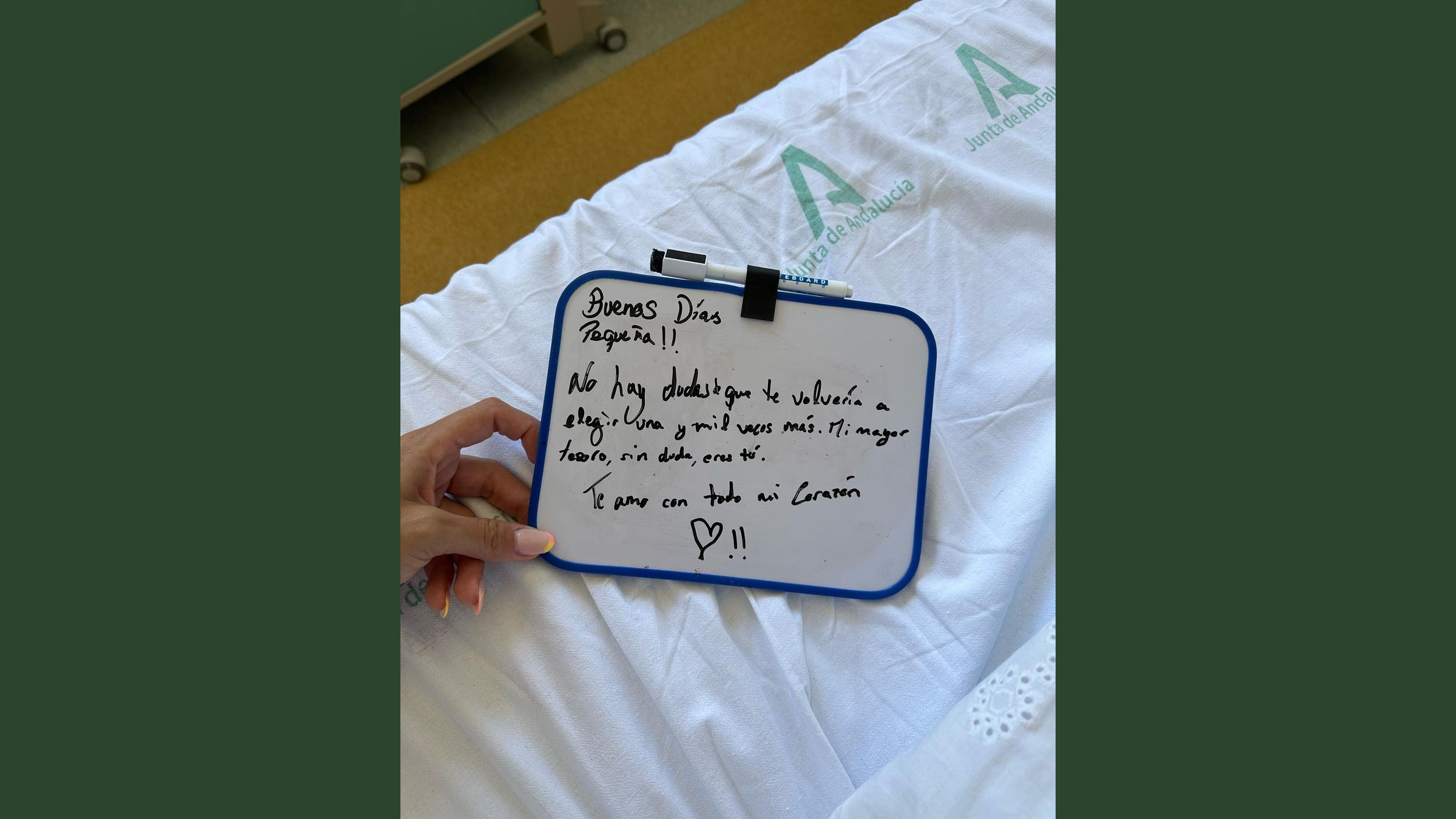 Alba Silvat, pareja de Sergio Rico, ha hecho público este mensaje en Instagram.