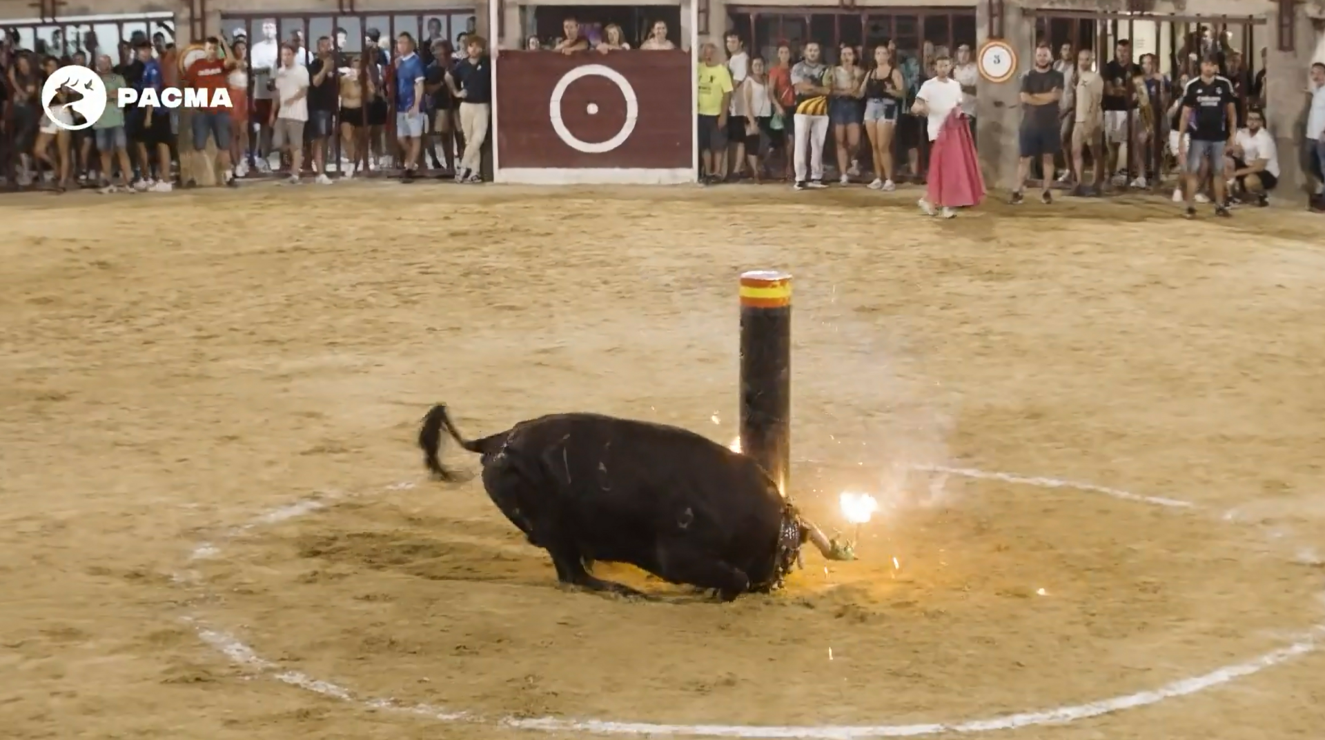 Imagen del toro embolado en Oropesa.