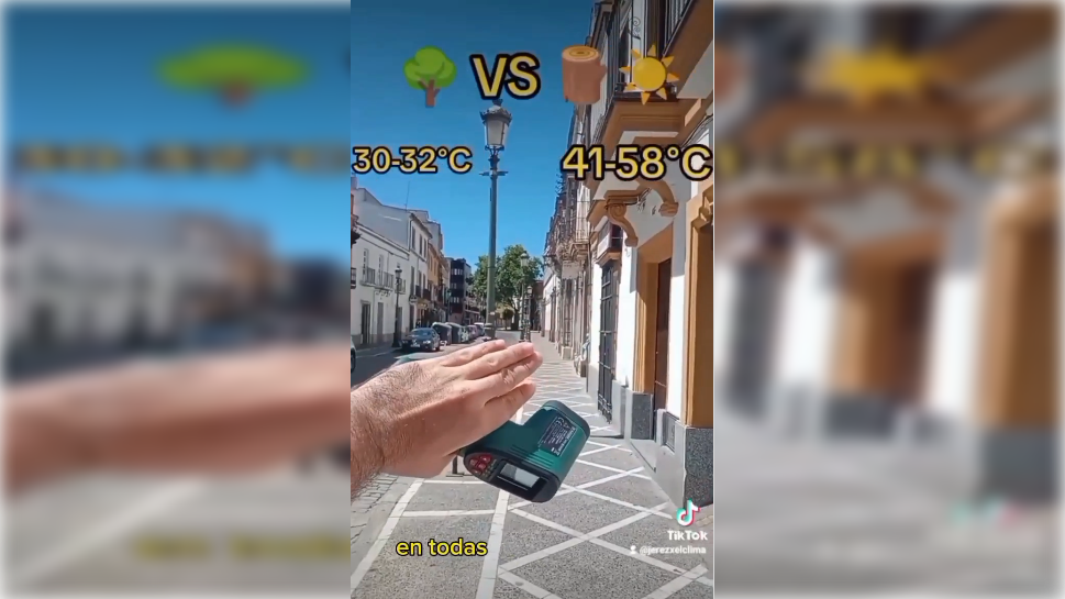 Entre 10 y 25 grados de calor acumulado en superficie y edificios por la tala indiscriminada de árboles en la calle Porvera de Jerez