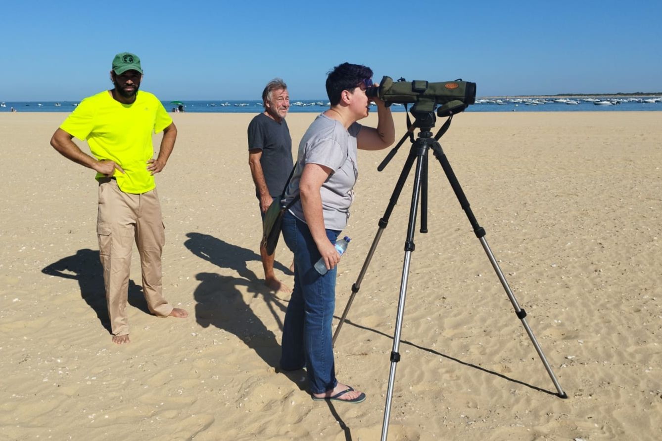 Voluntarios observando a las aves en la playa sanluqueña. Voluntarios observando a las aves en la playa sanluqueña.