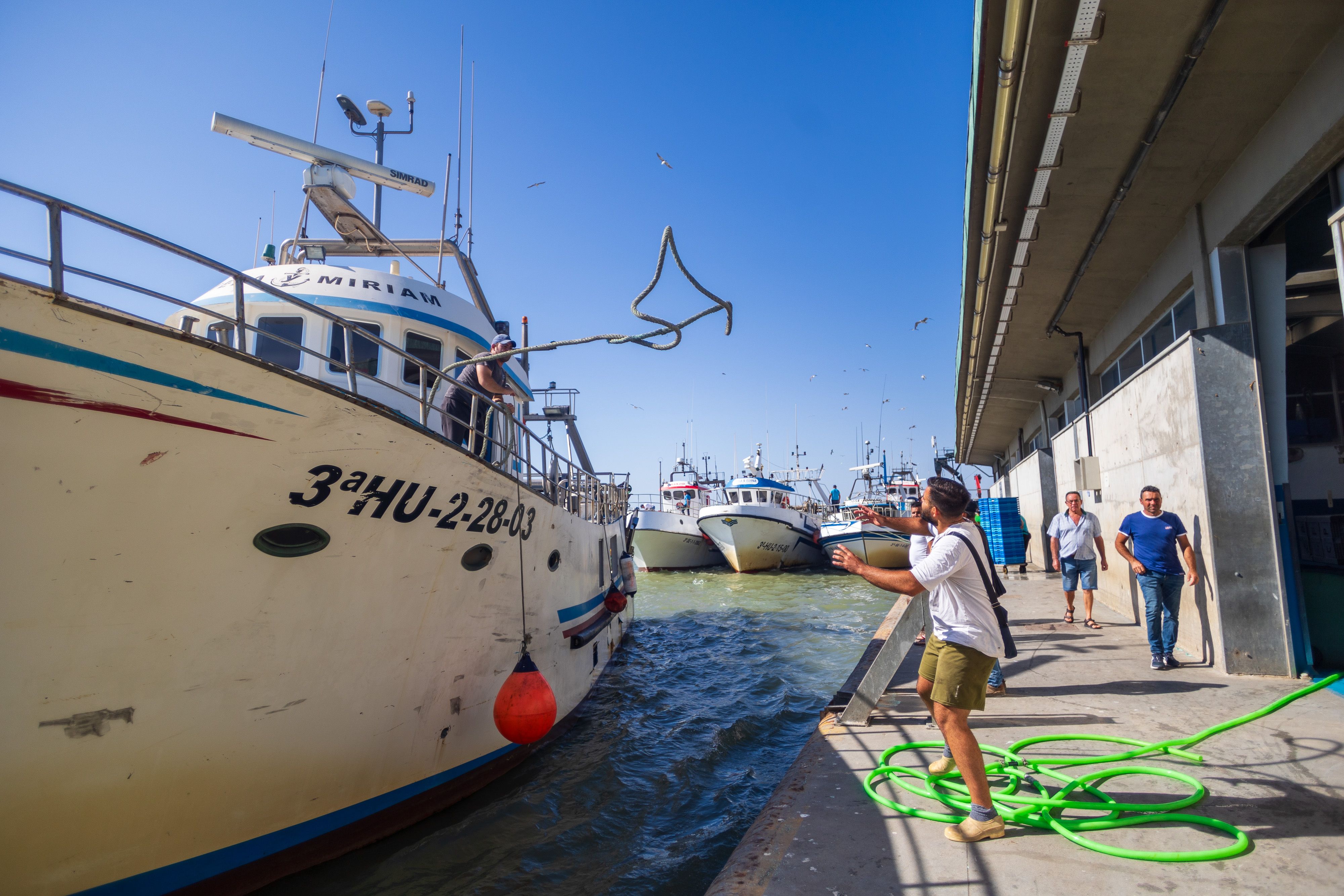 Una persona observa la llegada de un buque.