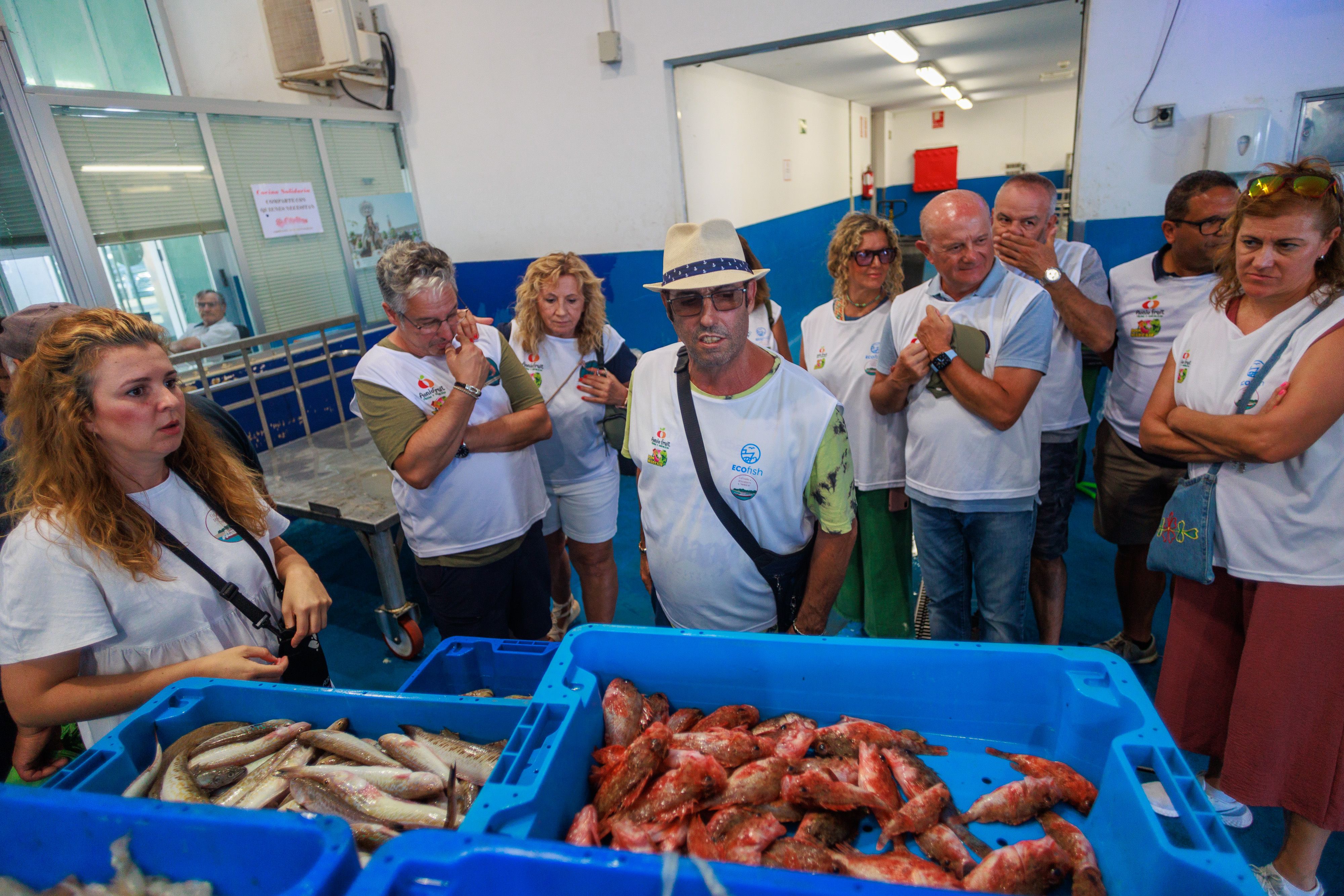 La lonja de Sanlúcar visitada por los turistas.