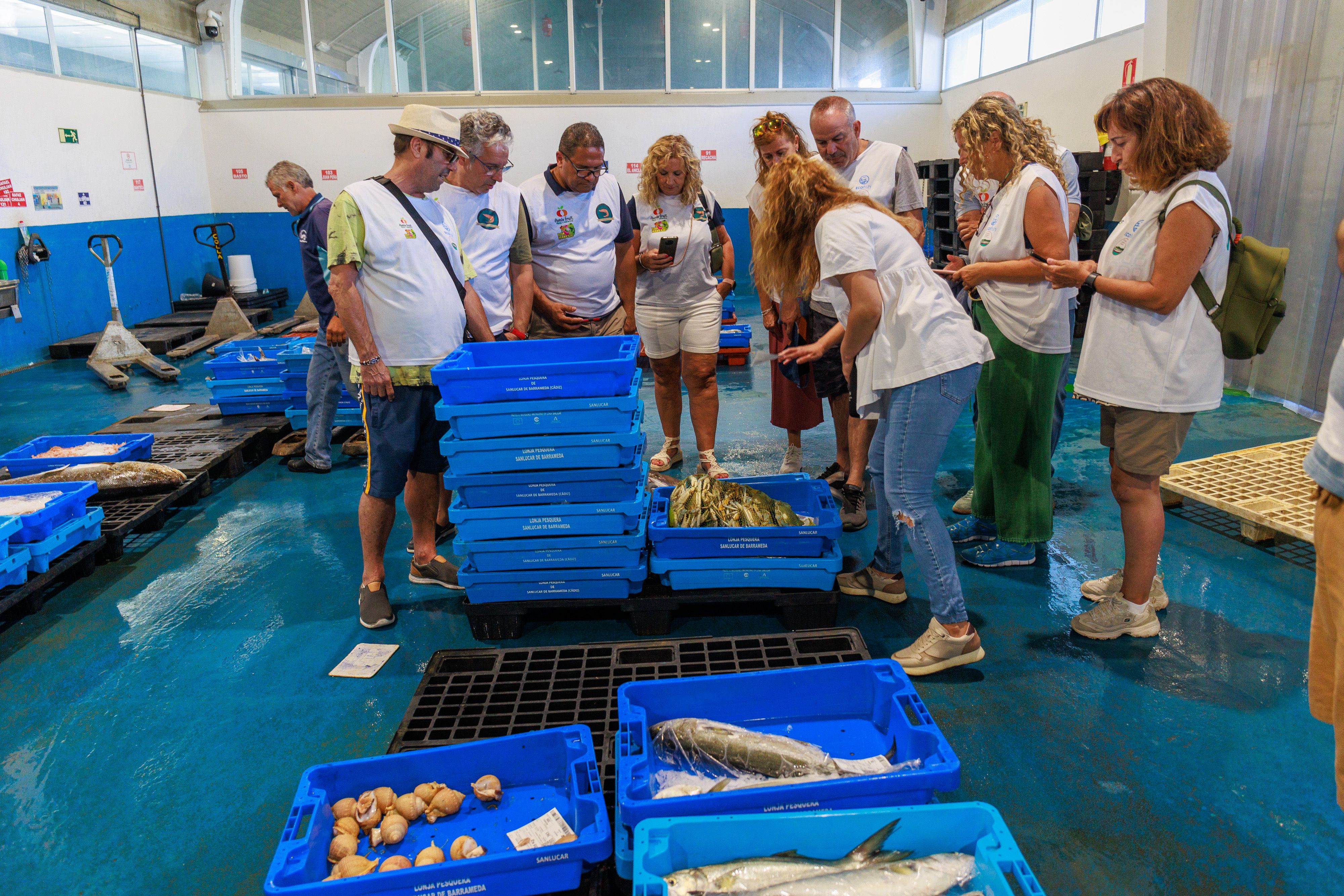La lonja de Sanlúcar visitada por los turistas.