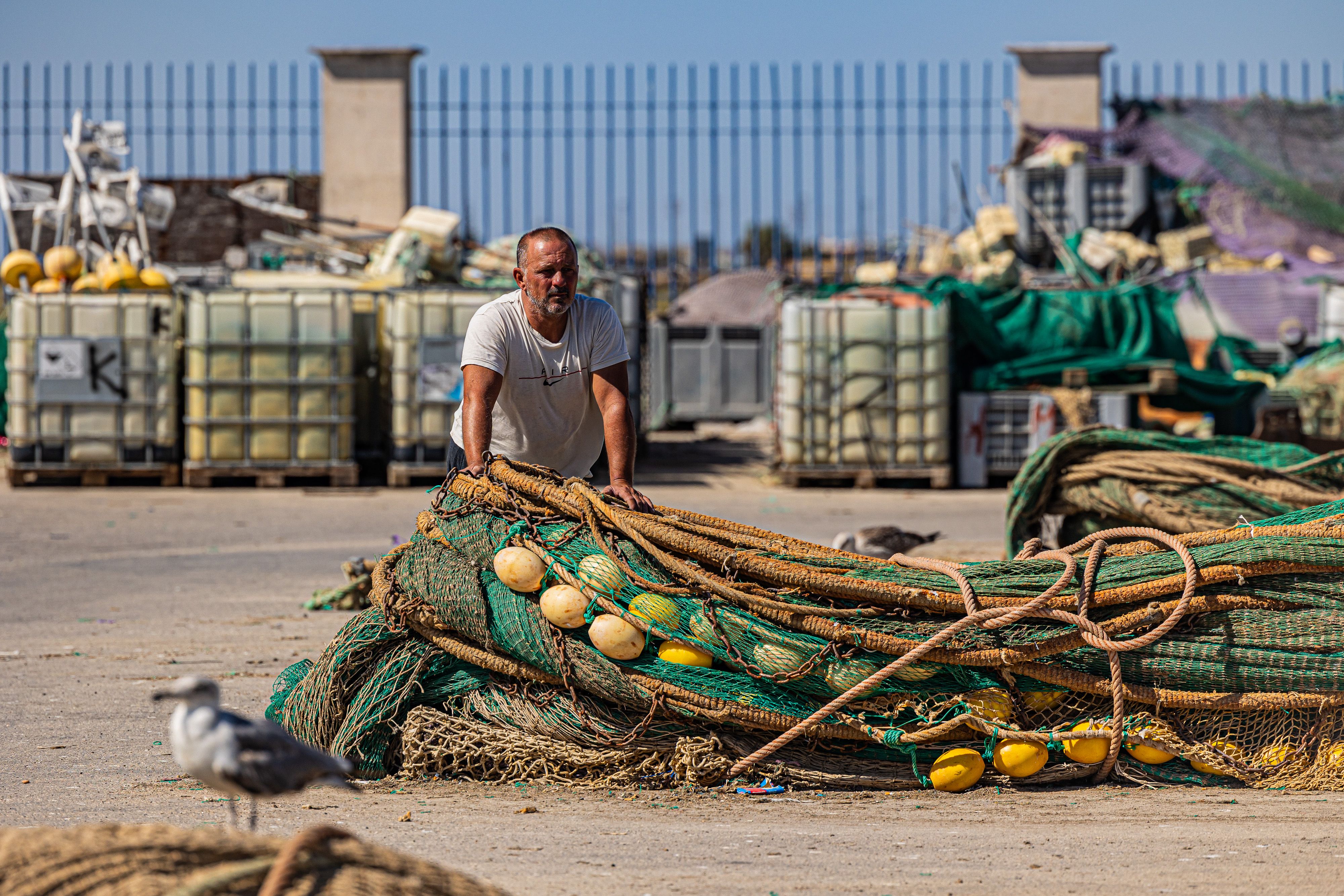 Rederos de Bonanza 12