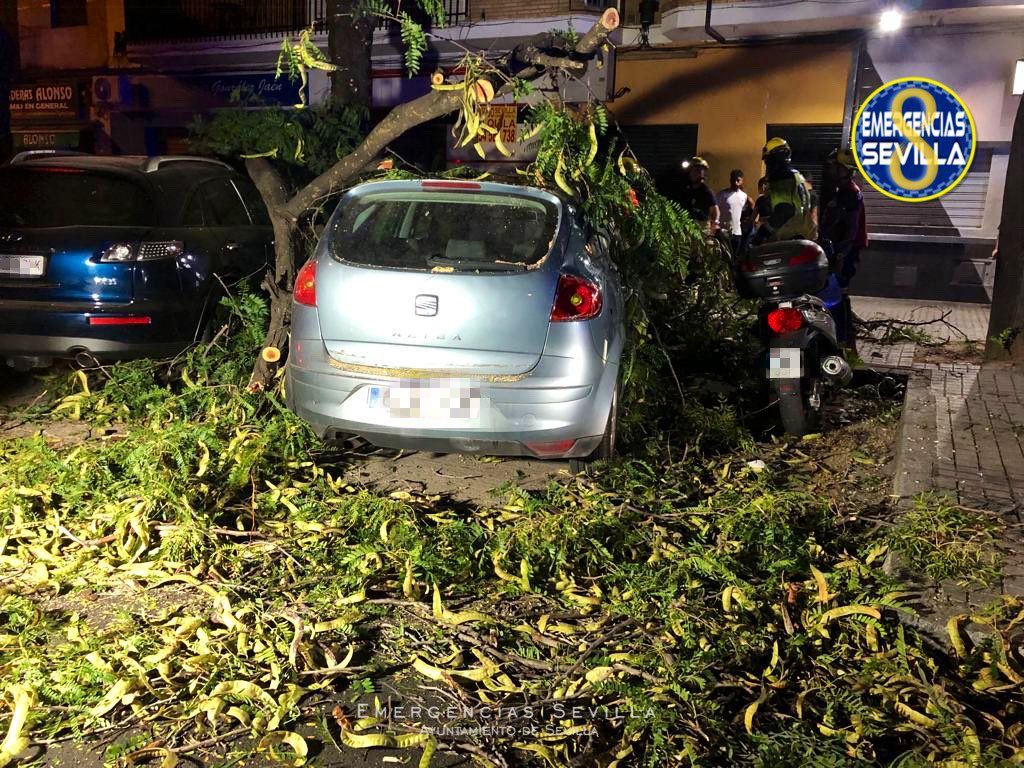 La rama ha acabado con tres heridos leves, de 53, 45 y 14 años